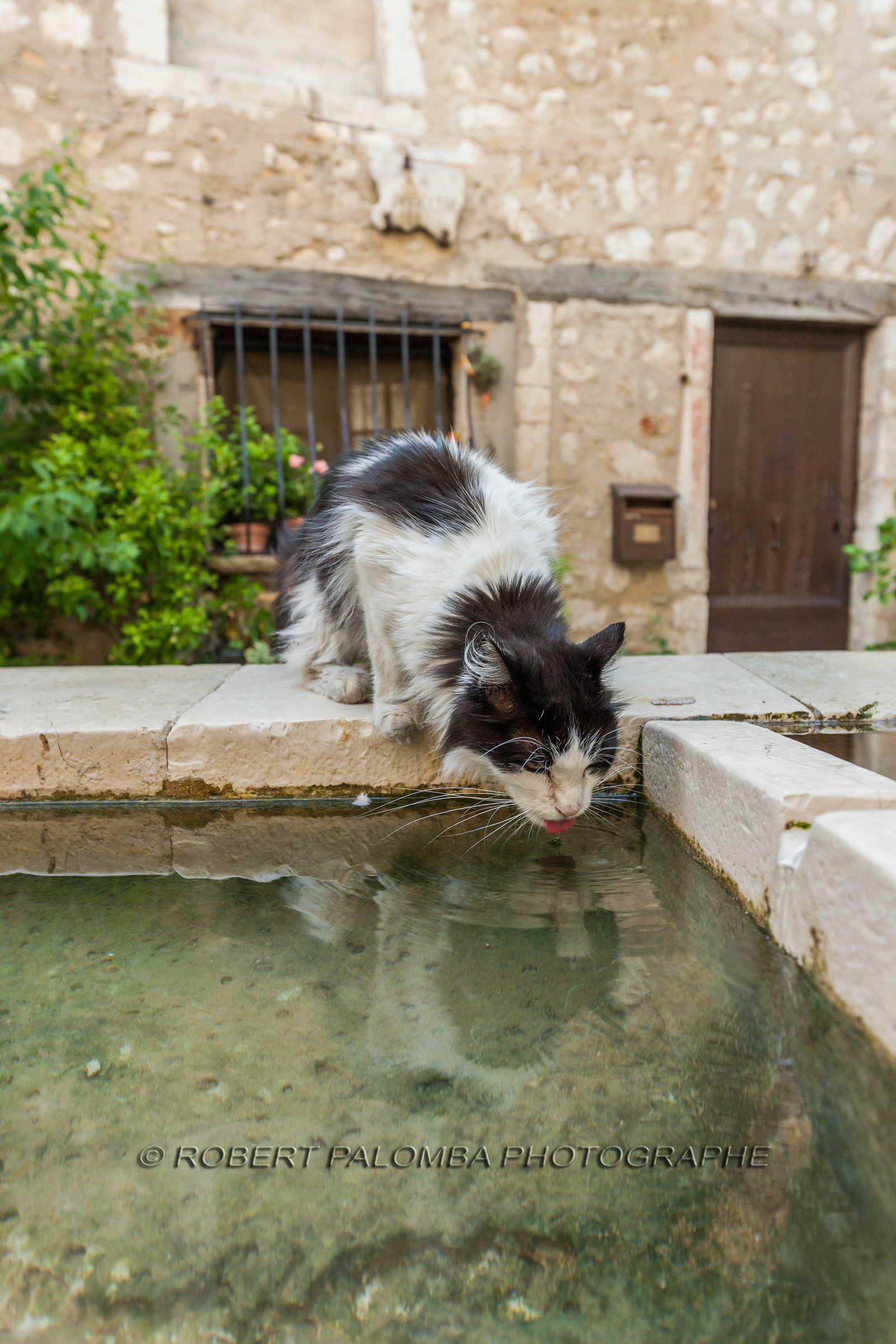 Saint-Paul-de-Vence