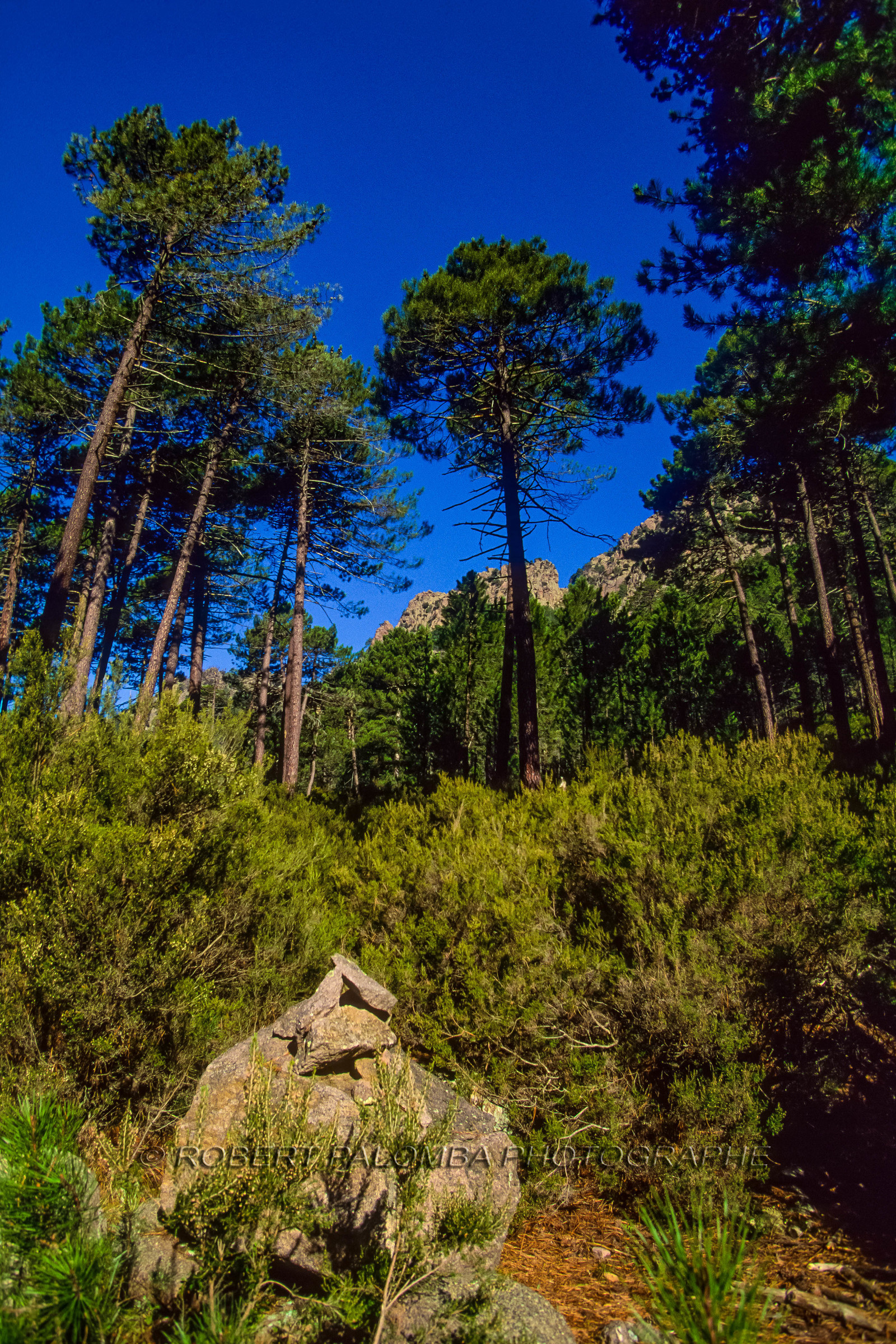 Ski en Corse