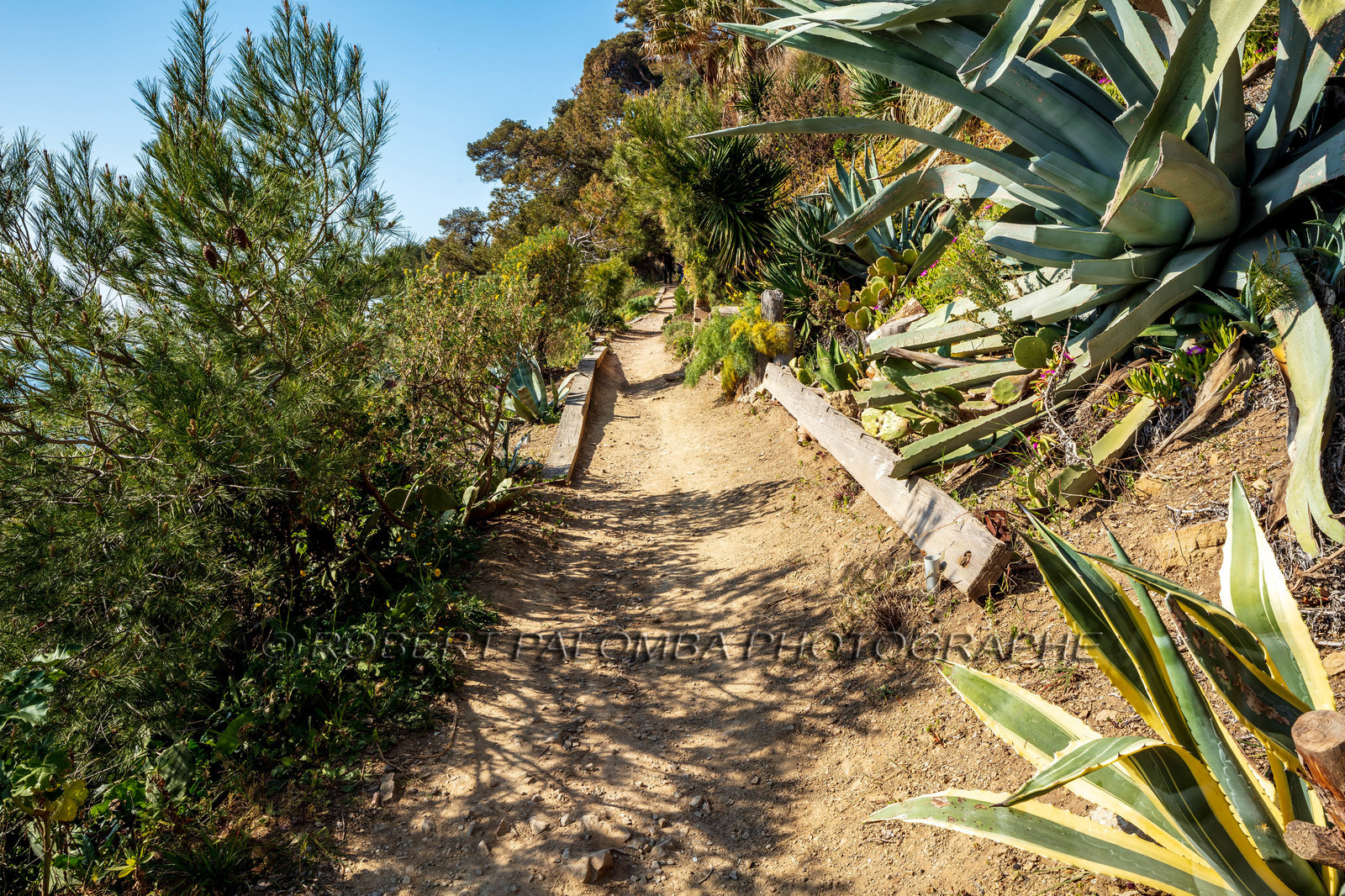 Saint-Mandrier-sur-Mer