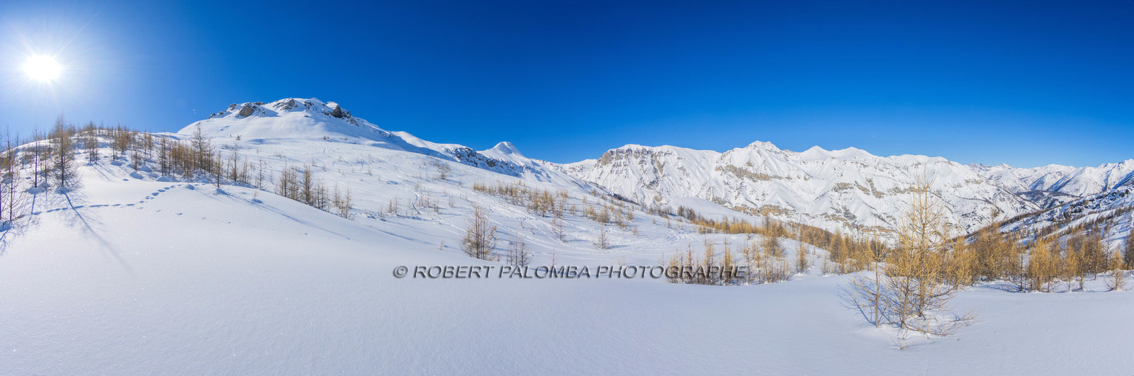 Auron