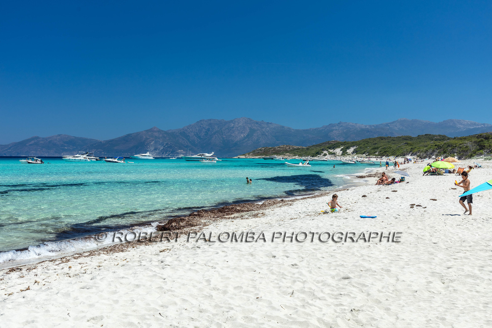 Saleccia