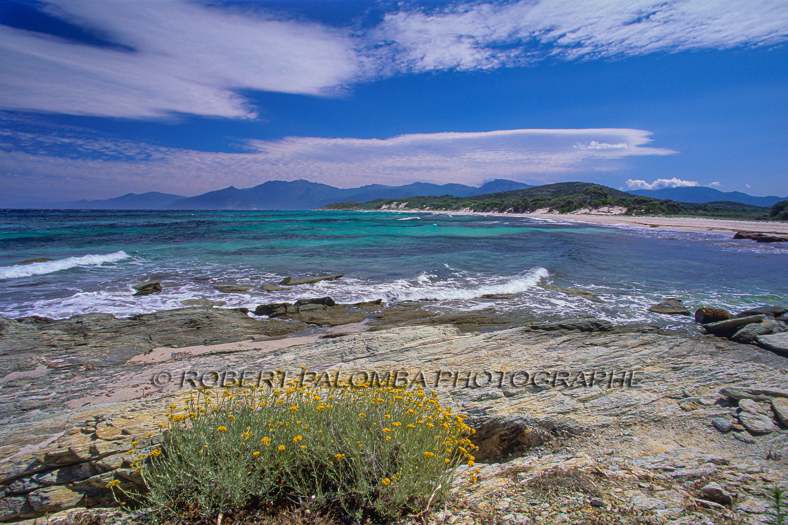 Saleccia