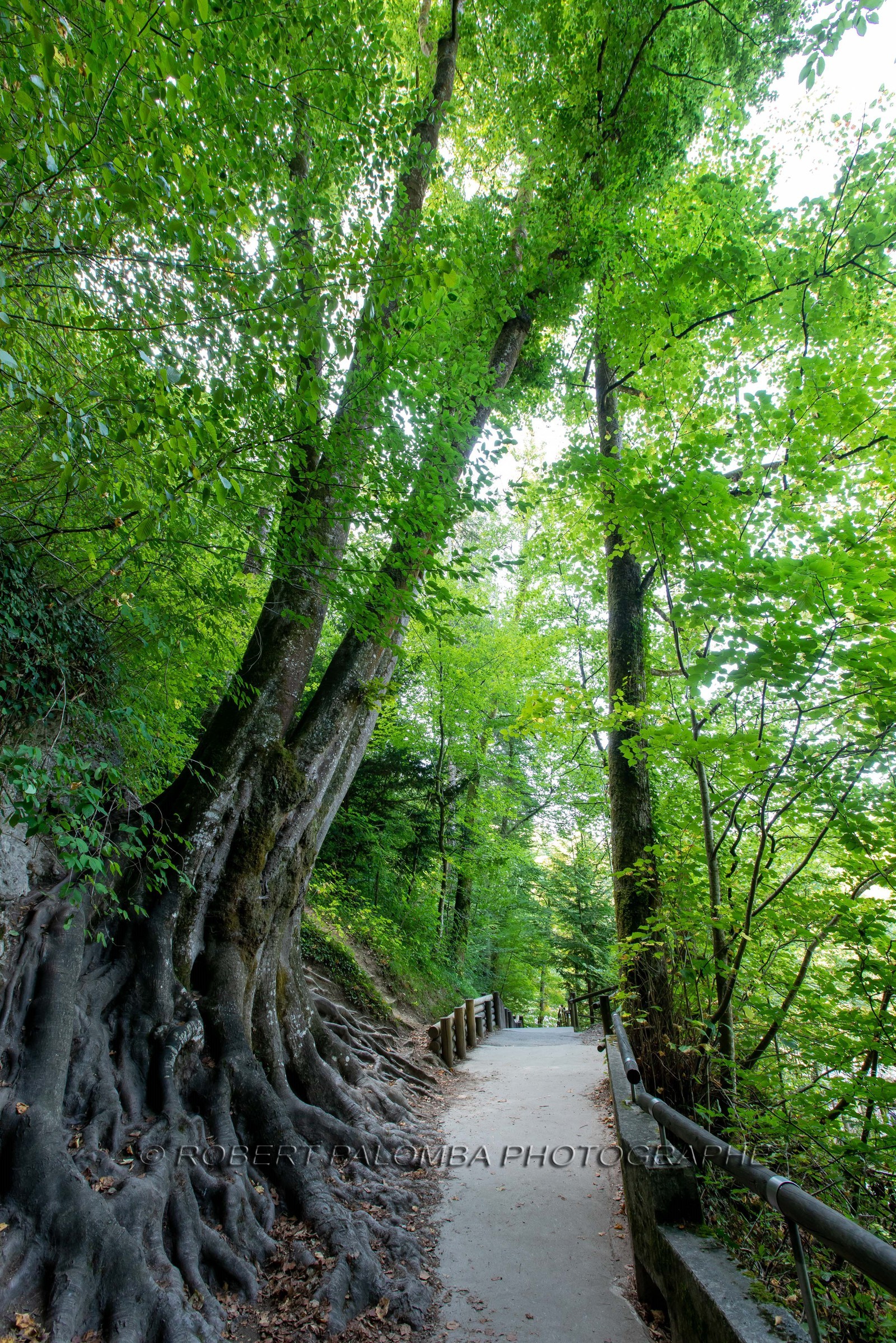 Gorges du Fier