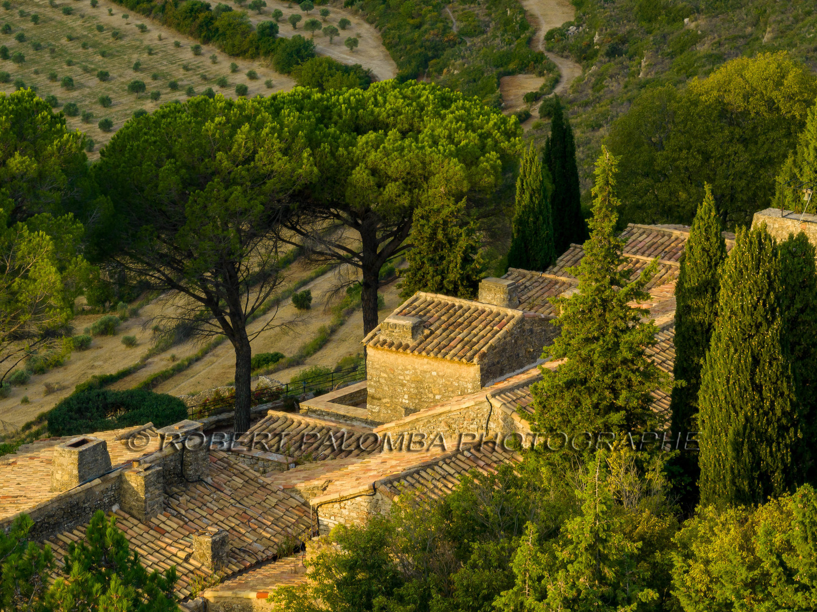 Salon-de-Provence