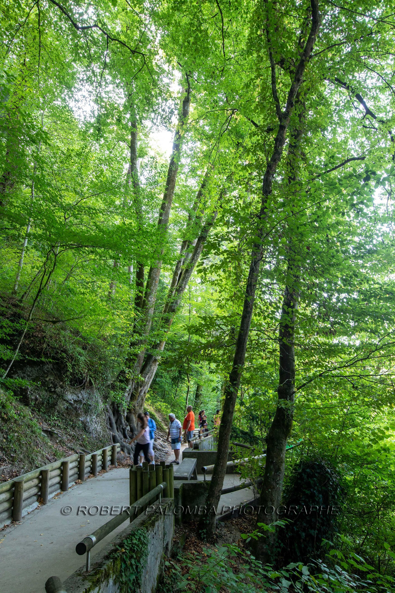 Gorges du Fier