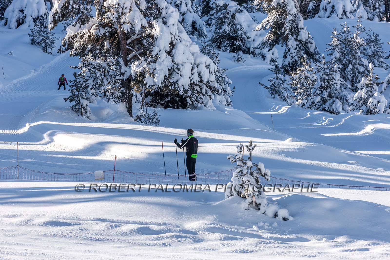 Ski de fond