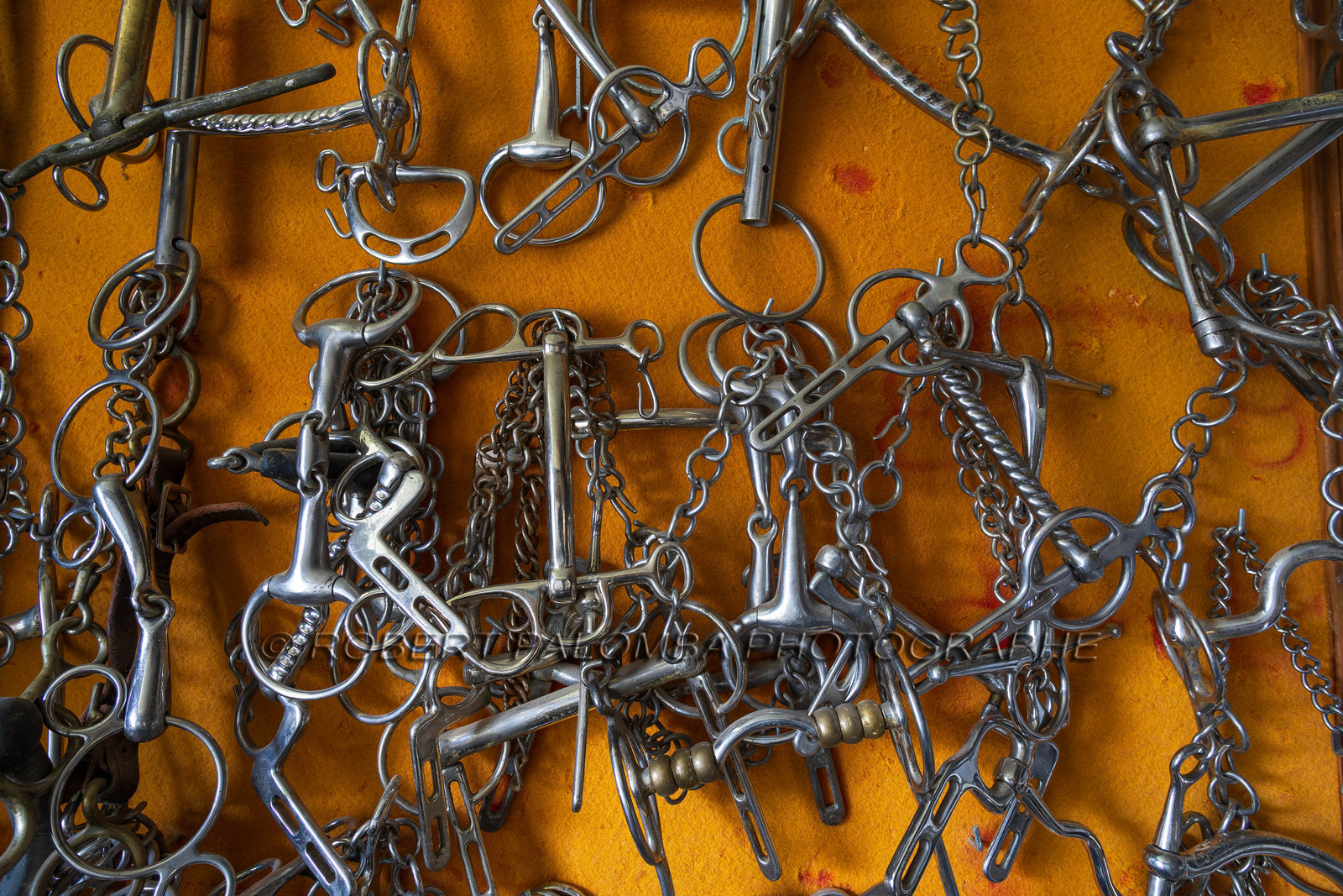 Haras national d'Uzès