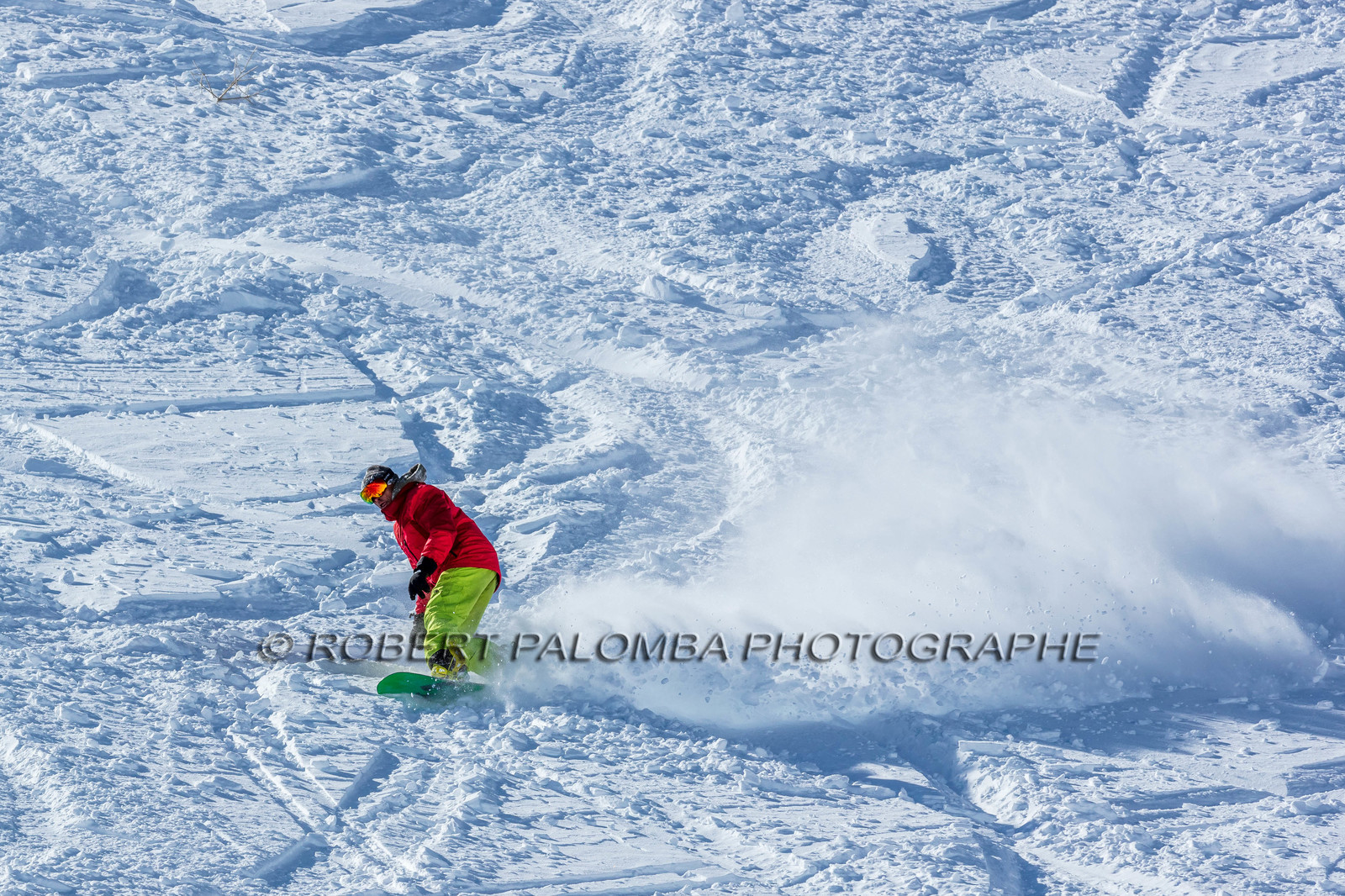 Snowboard