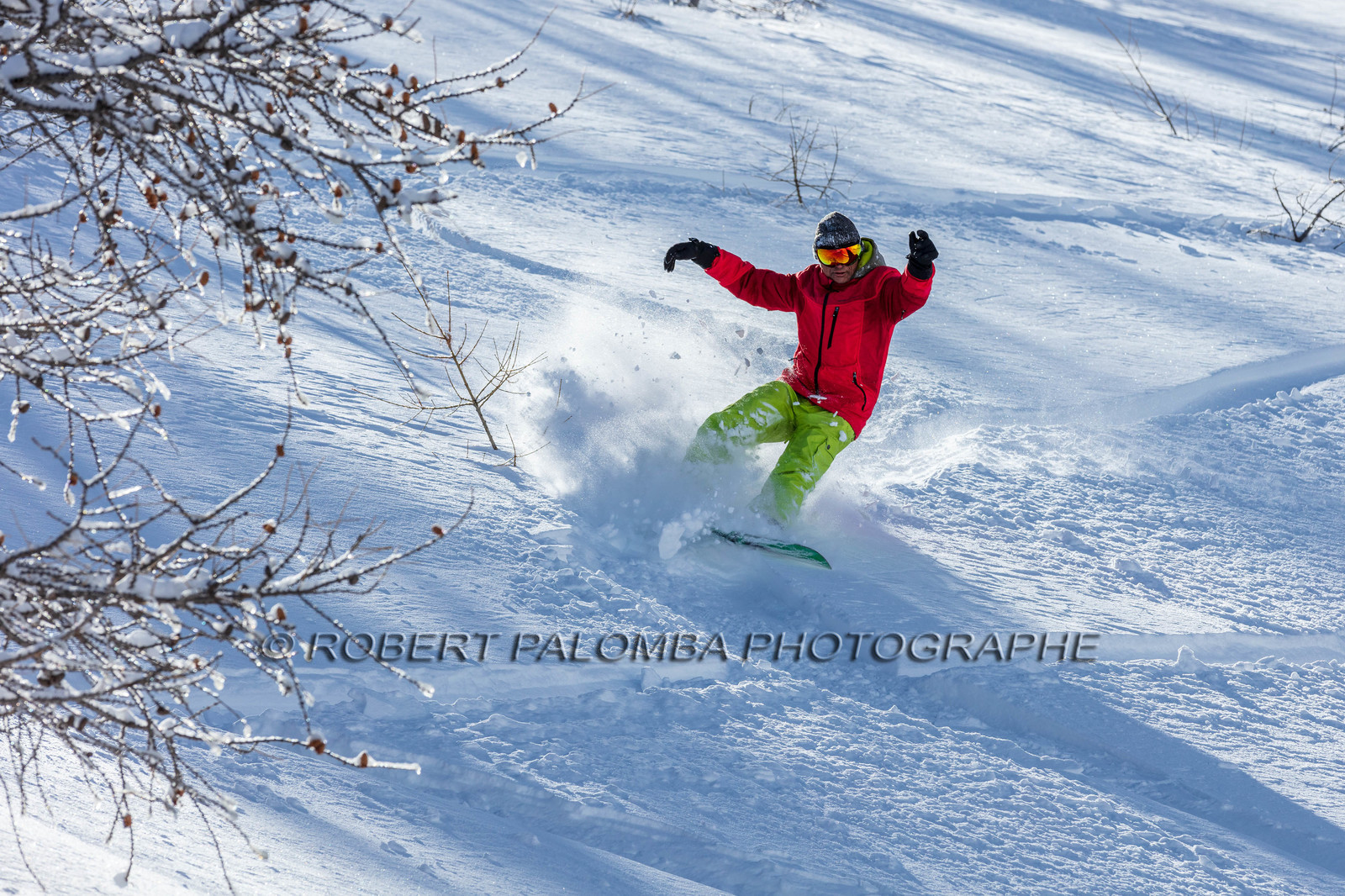 Snowboard