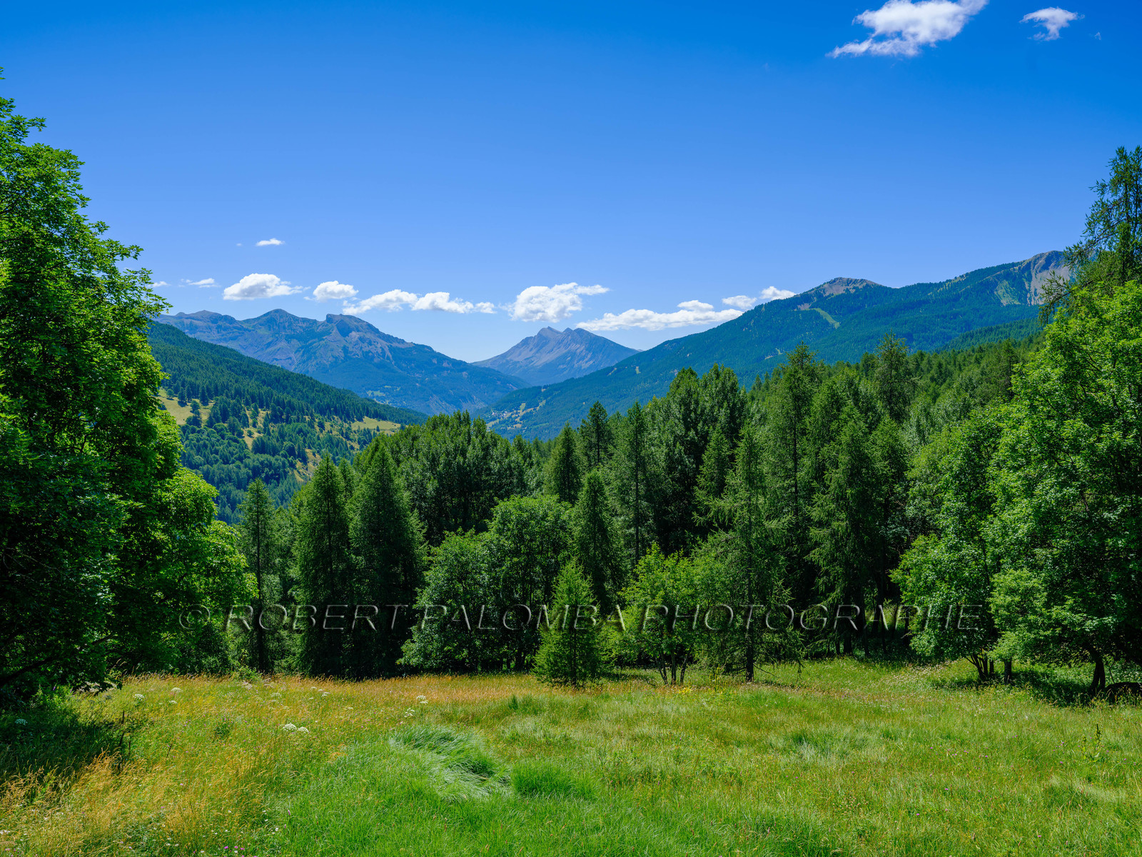 Rando Lac des Grenouilles