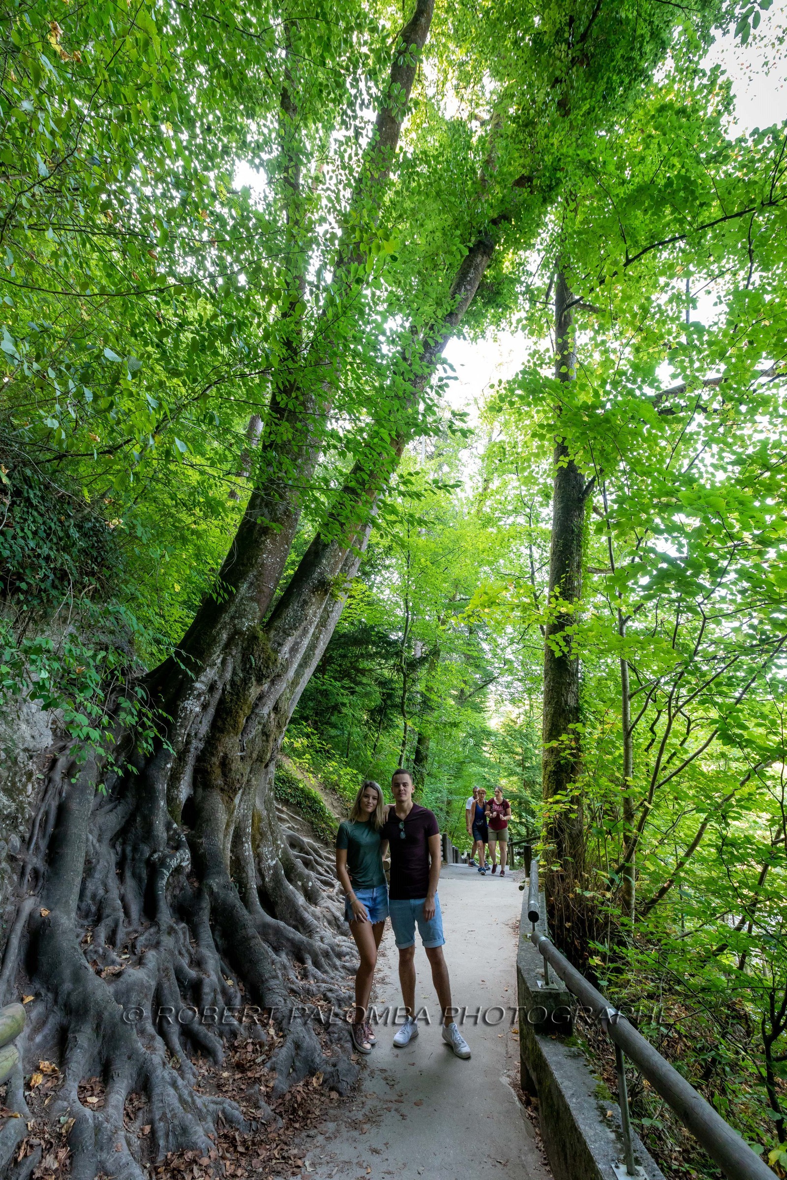 Gorges du Fier
