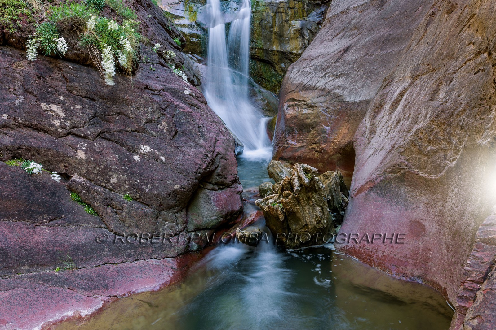 Gorges du Cians