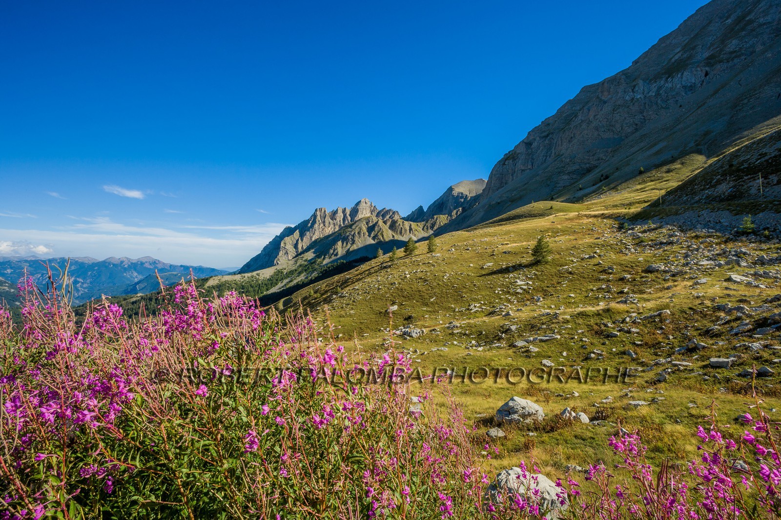 Col des Champs