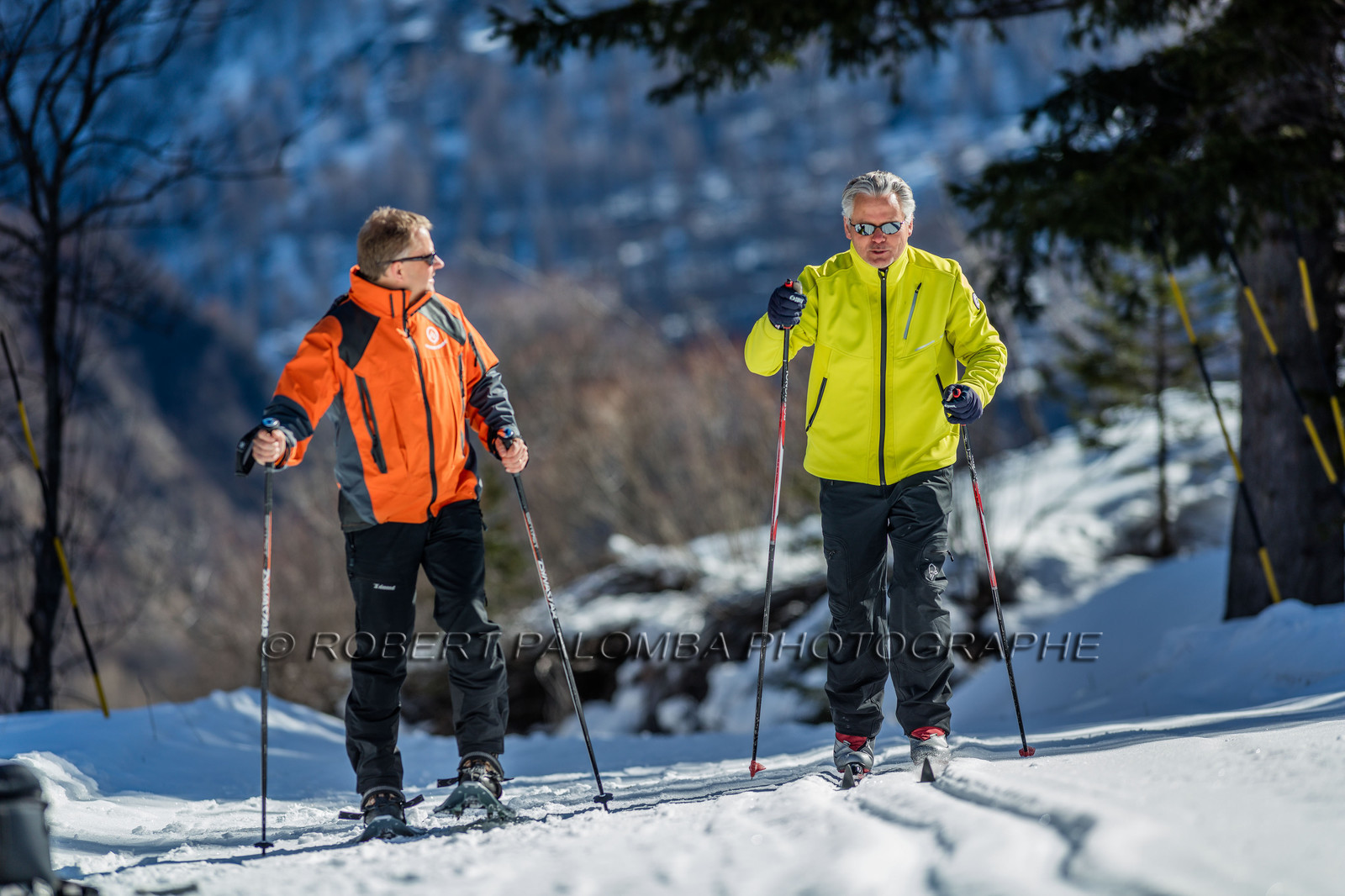 Ski de fond