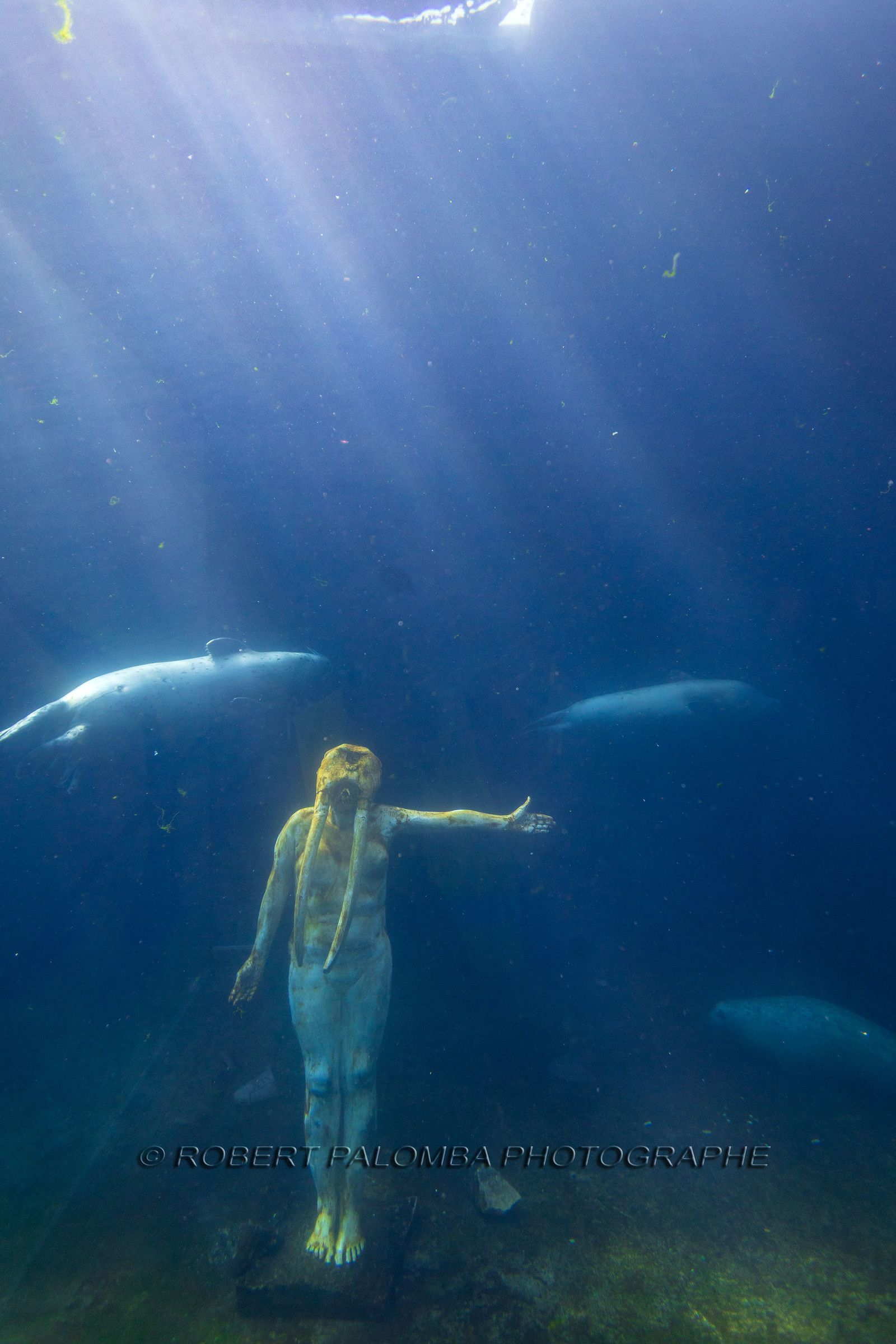 Seaquarium