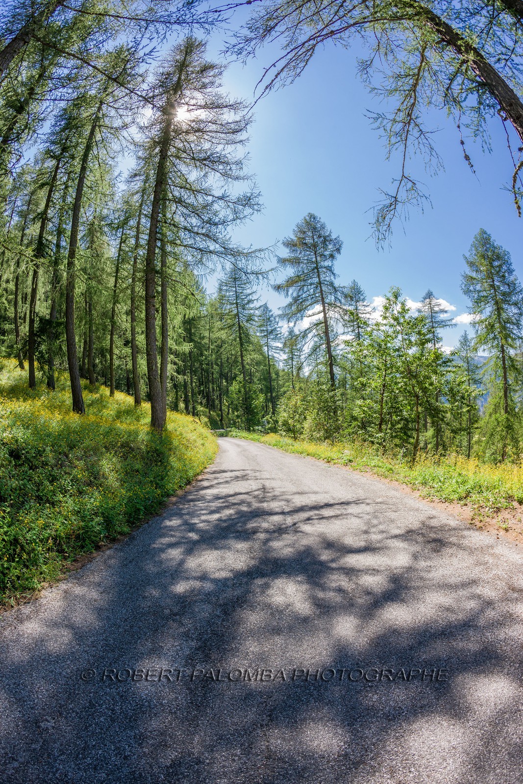 Col des Champs
