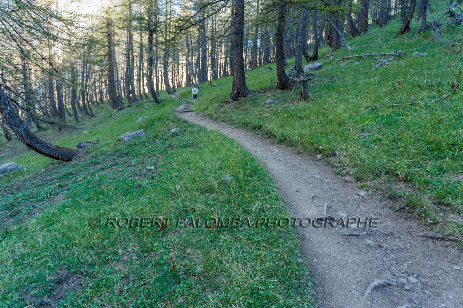 Col de la Petite Cayolle