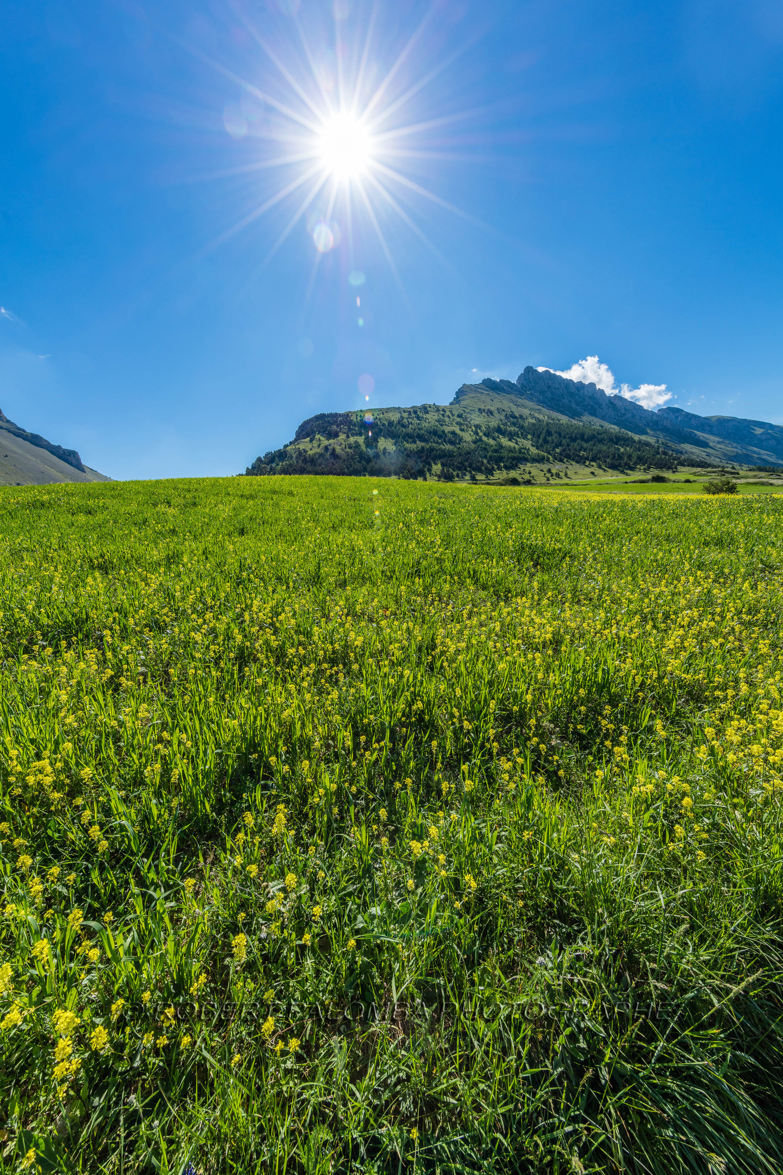 Col du Noyer