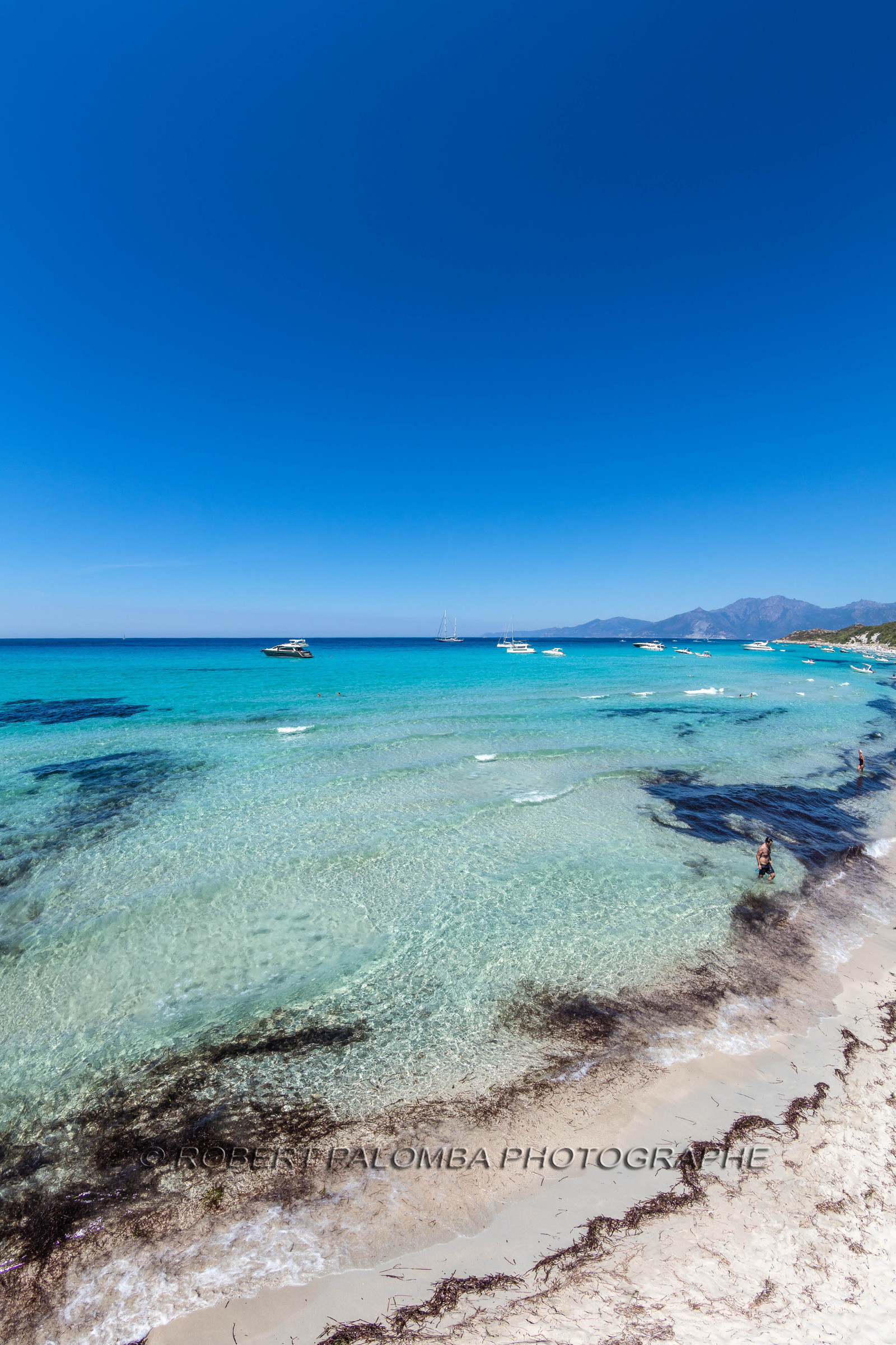 Saleccia