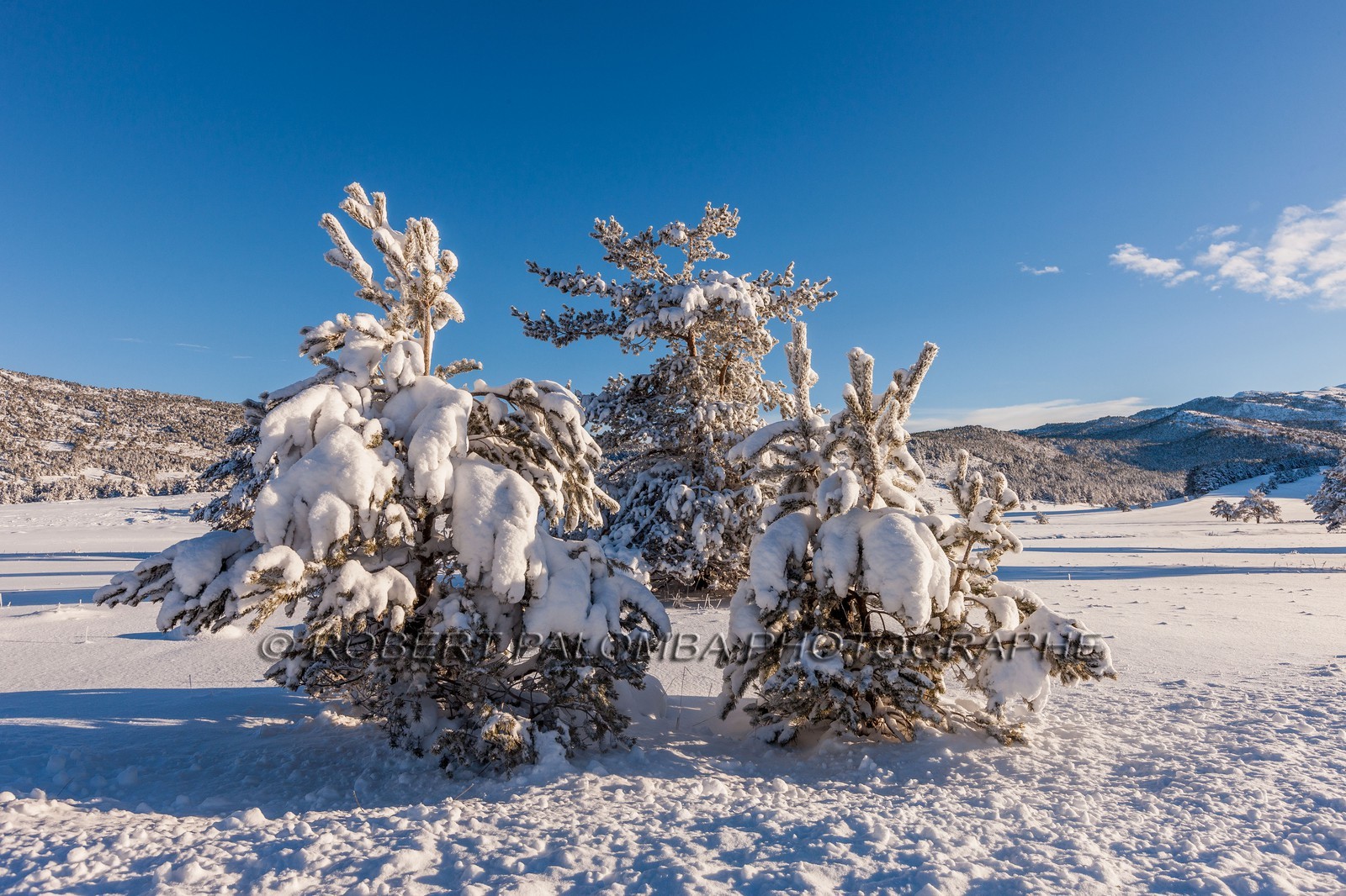 Gréolières-les-Neiges