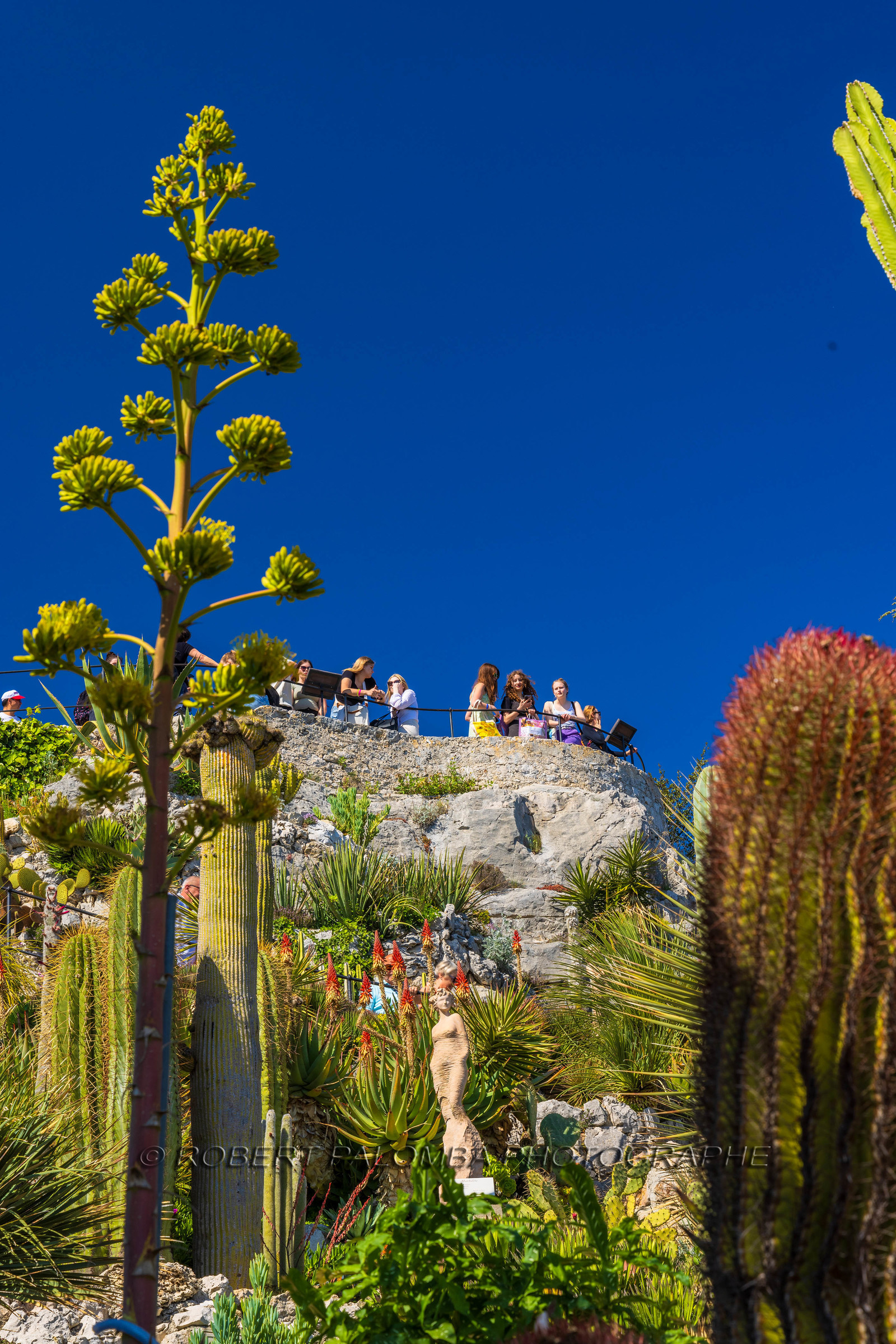 Eze Jardin exotique
