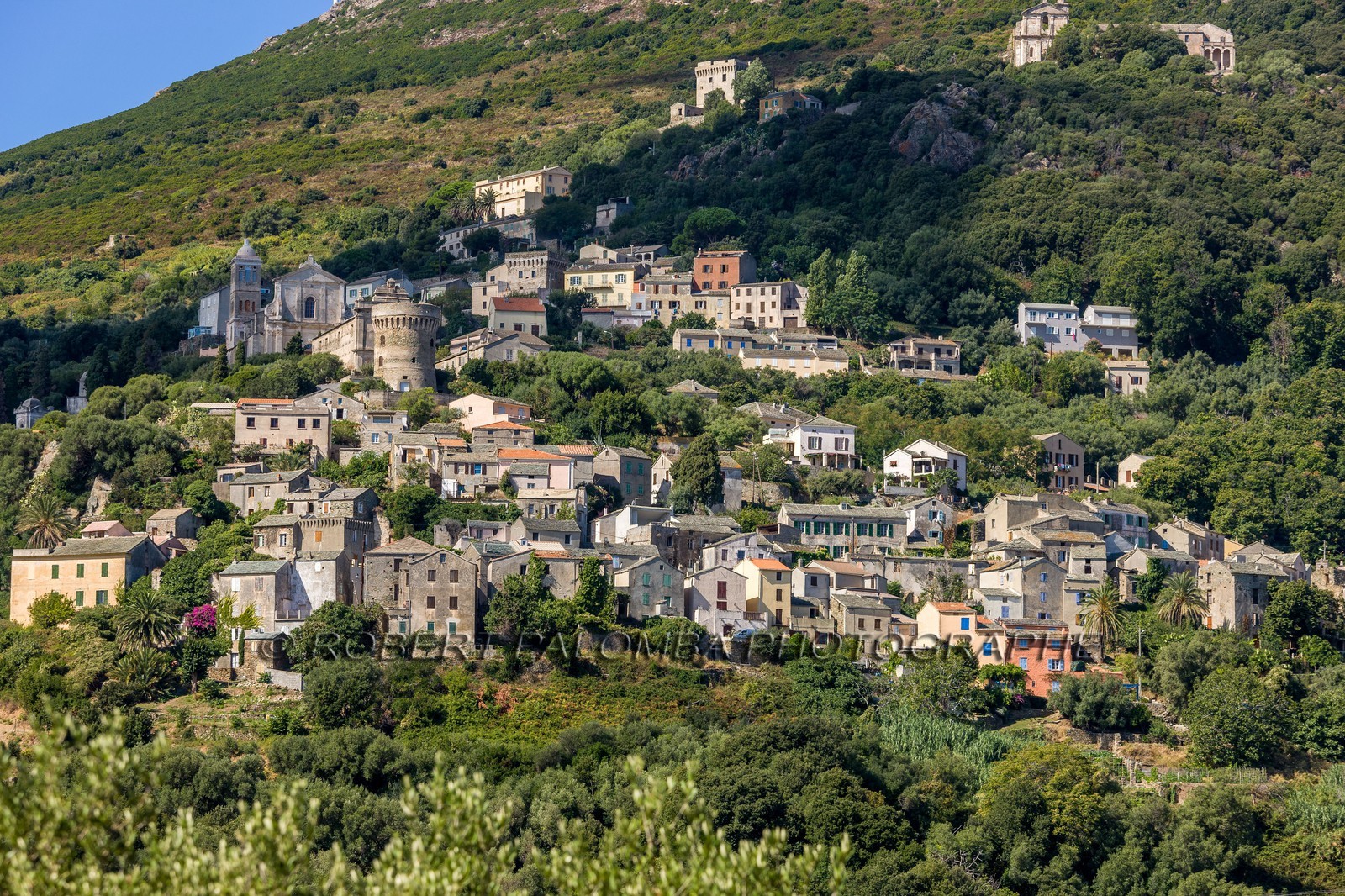 Rogliano
