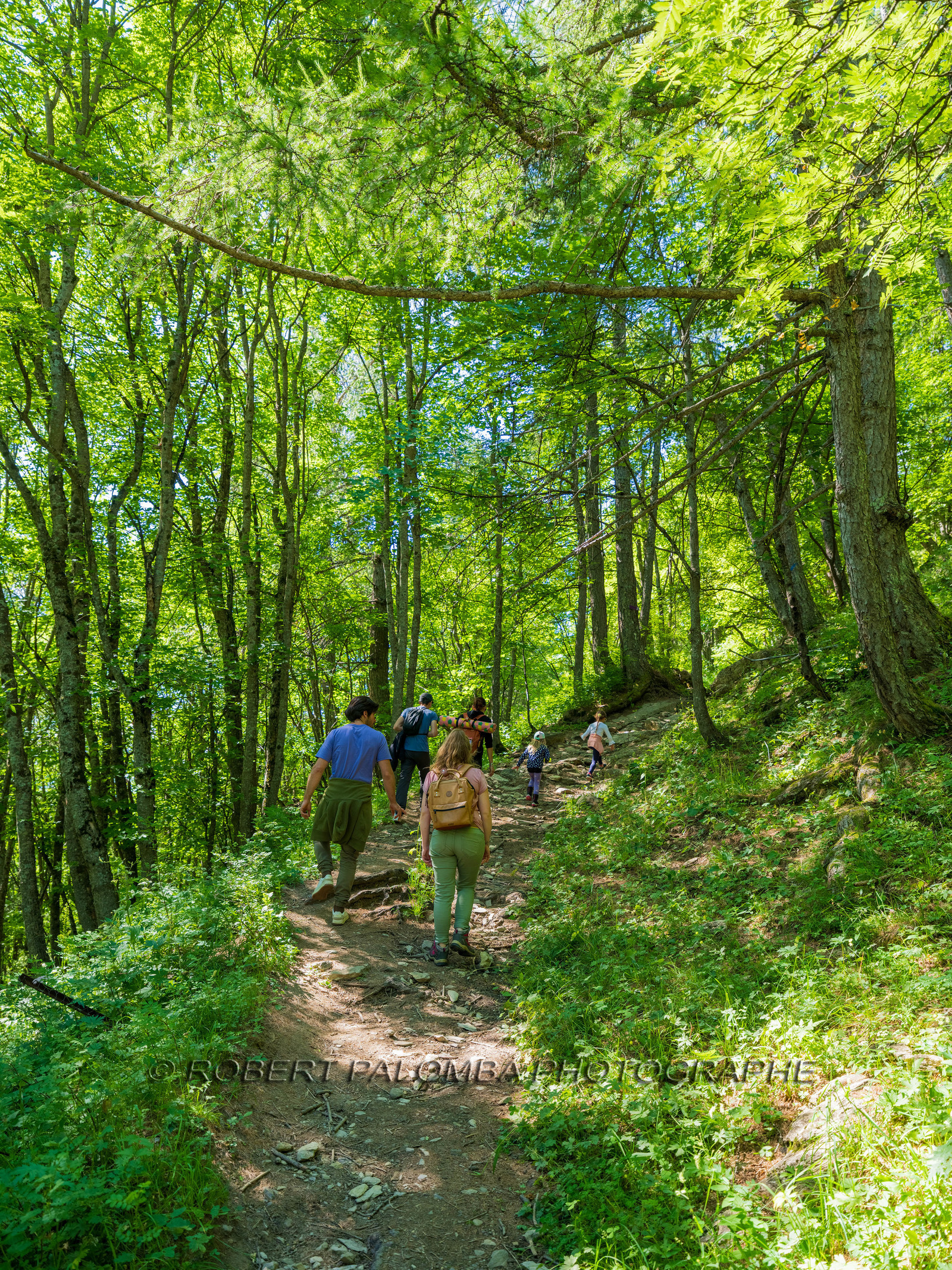 Rando Lac des Grenouilles