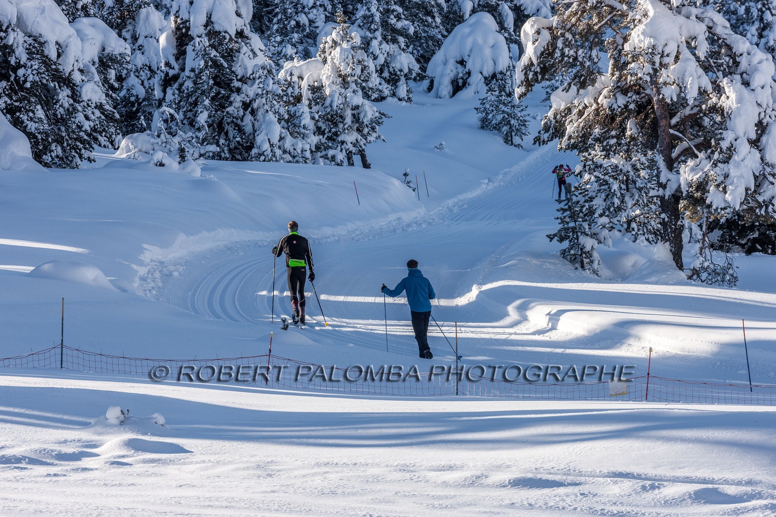 Ski de fond