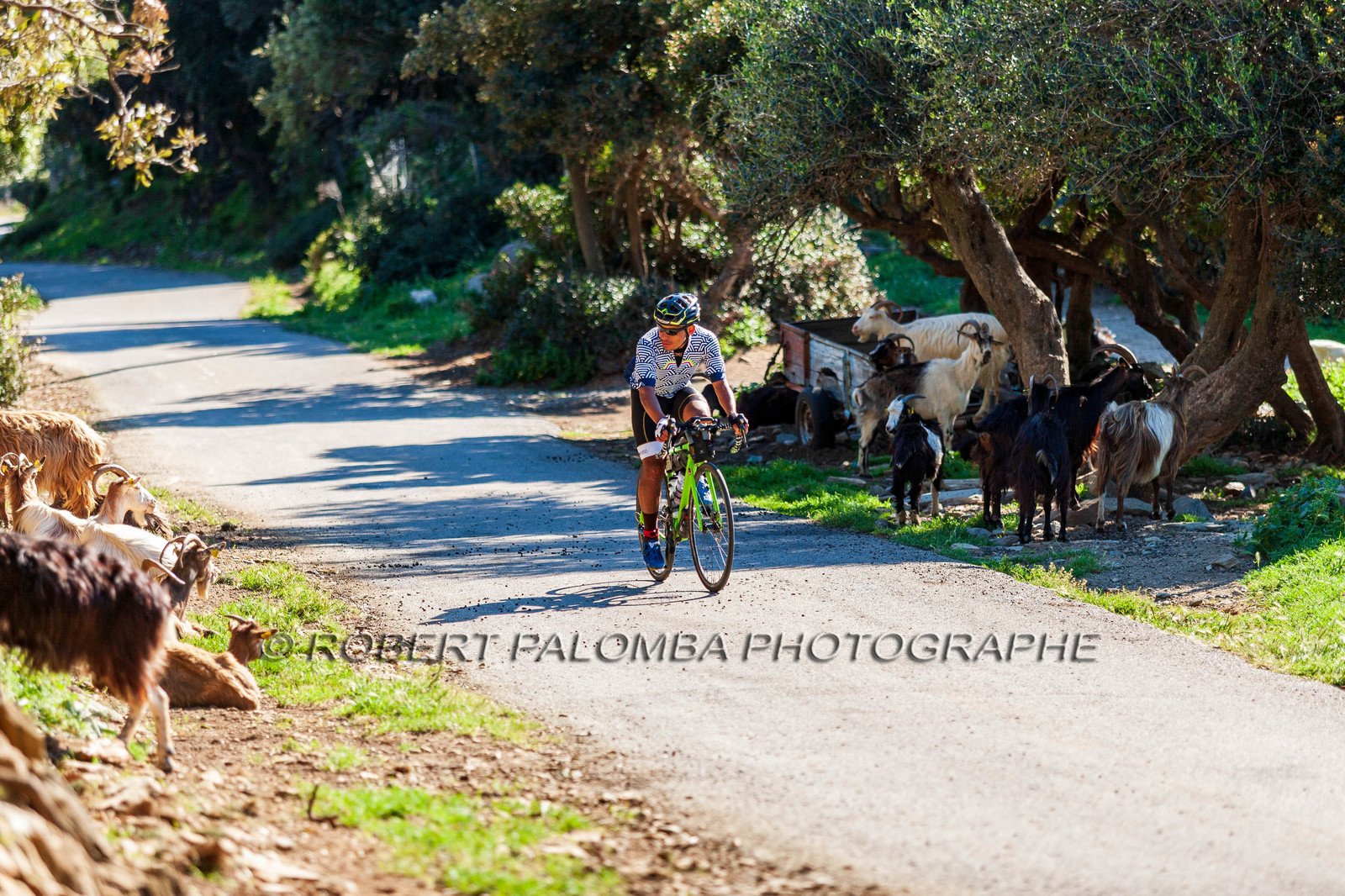 Bikingman Corsica 2019