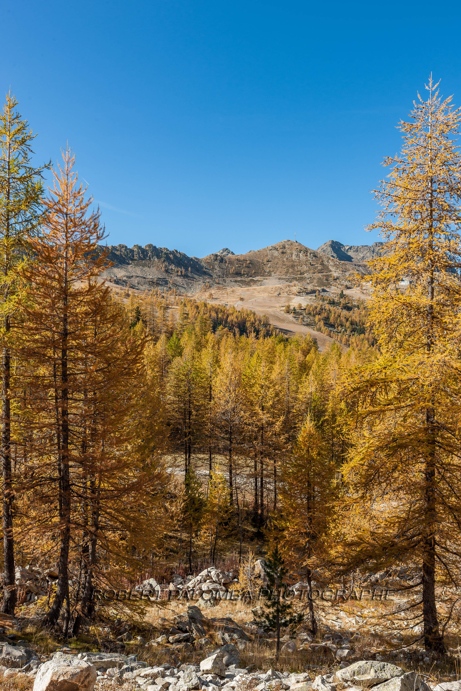 Isola 2000