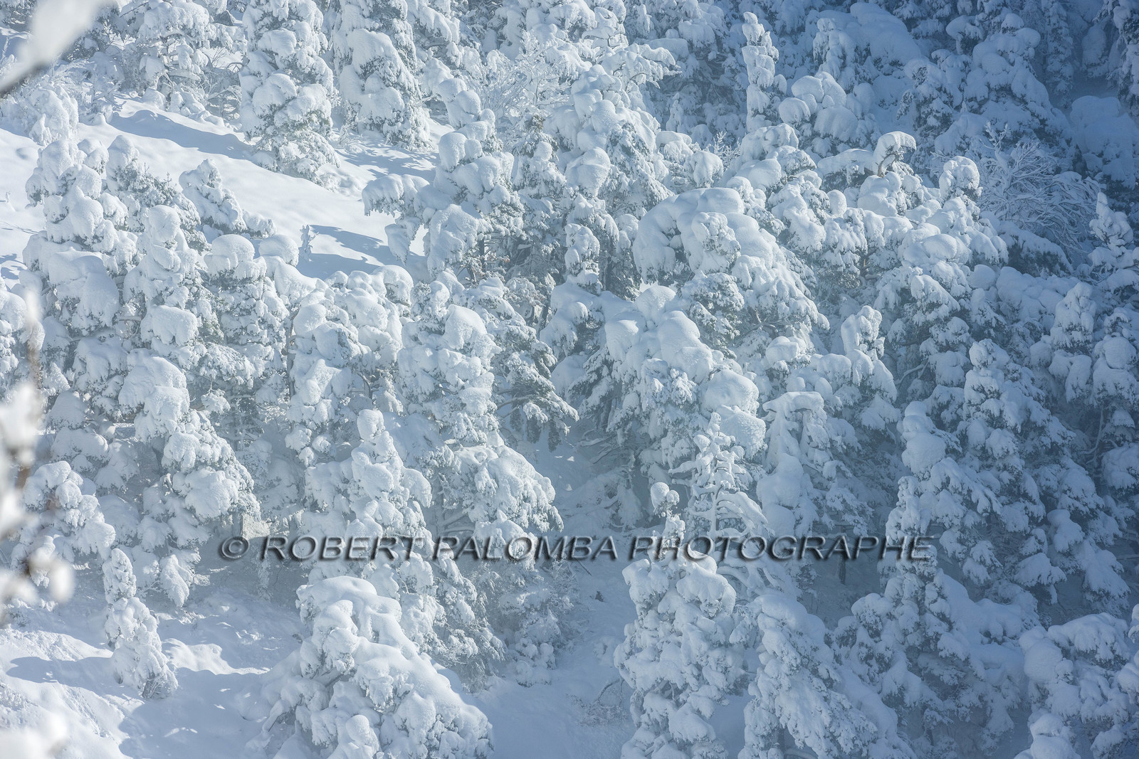 La-Colle-Saint-Michel