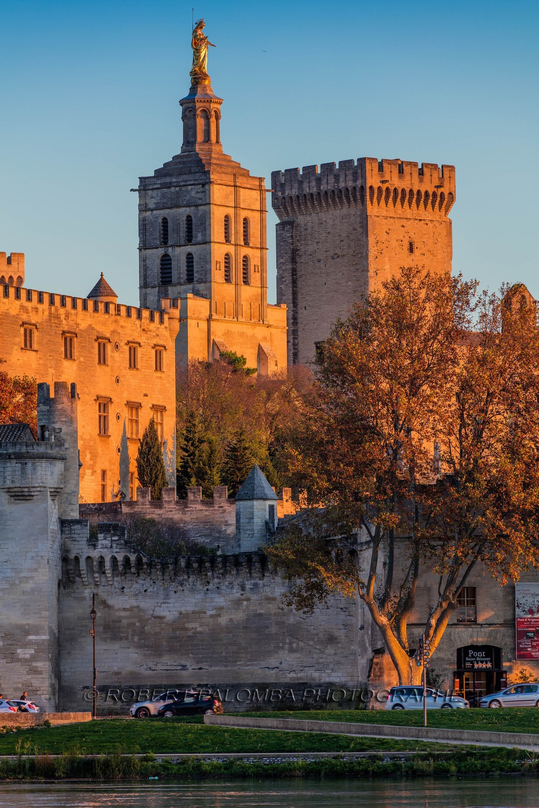 Avignon