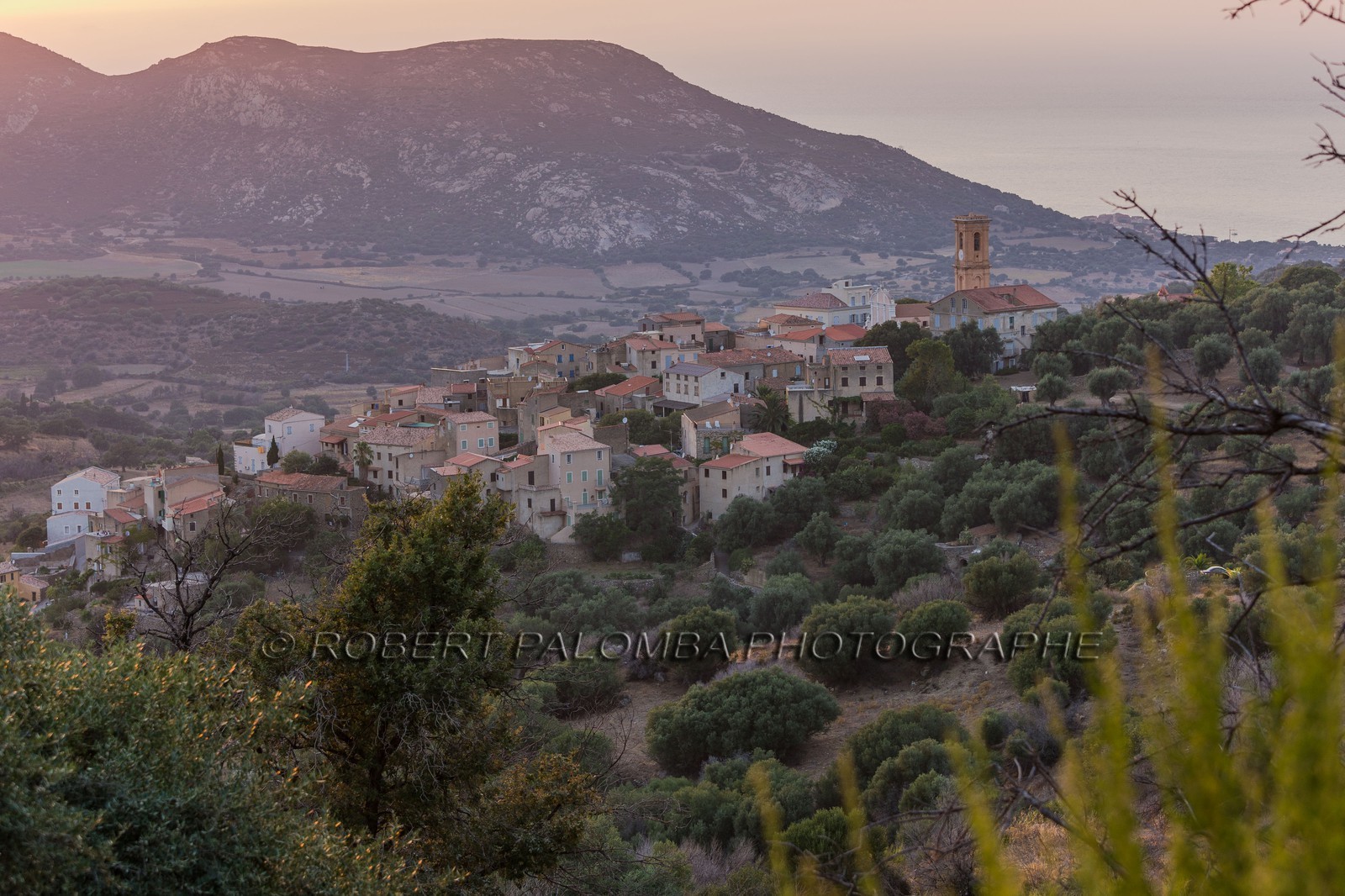 Aregno
