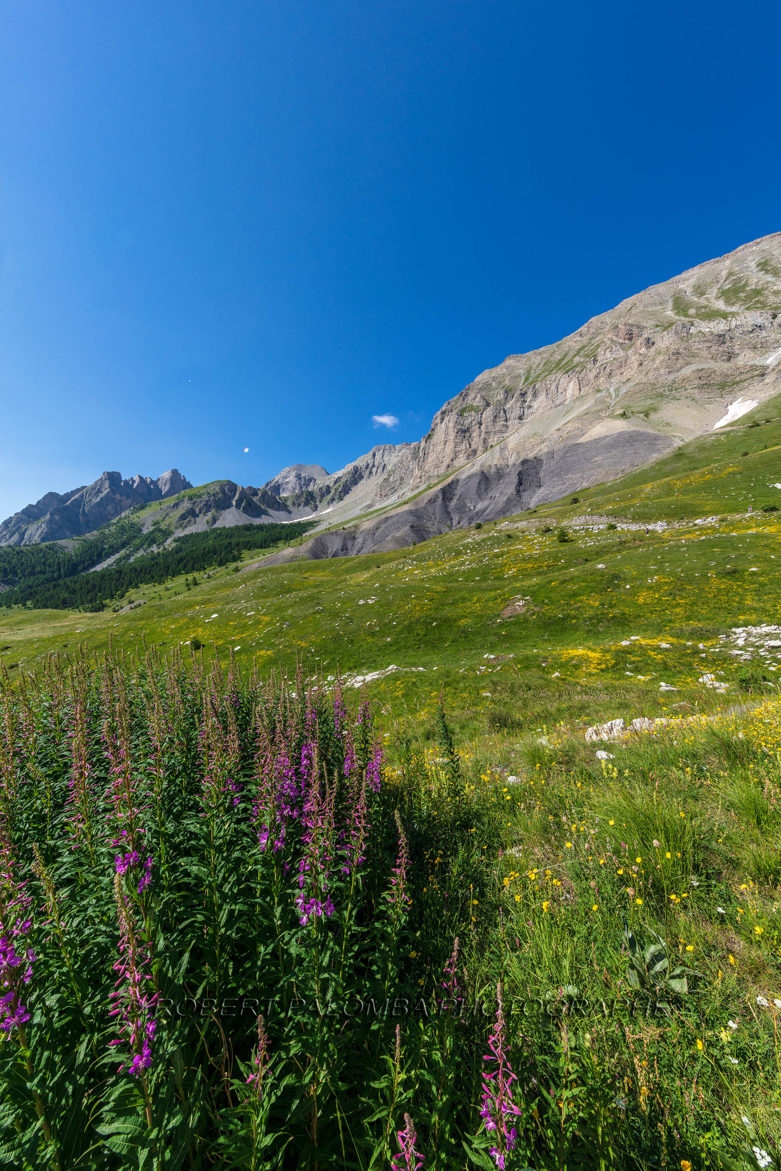 Col des Champs