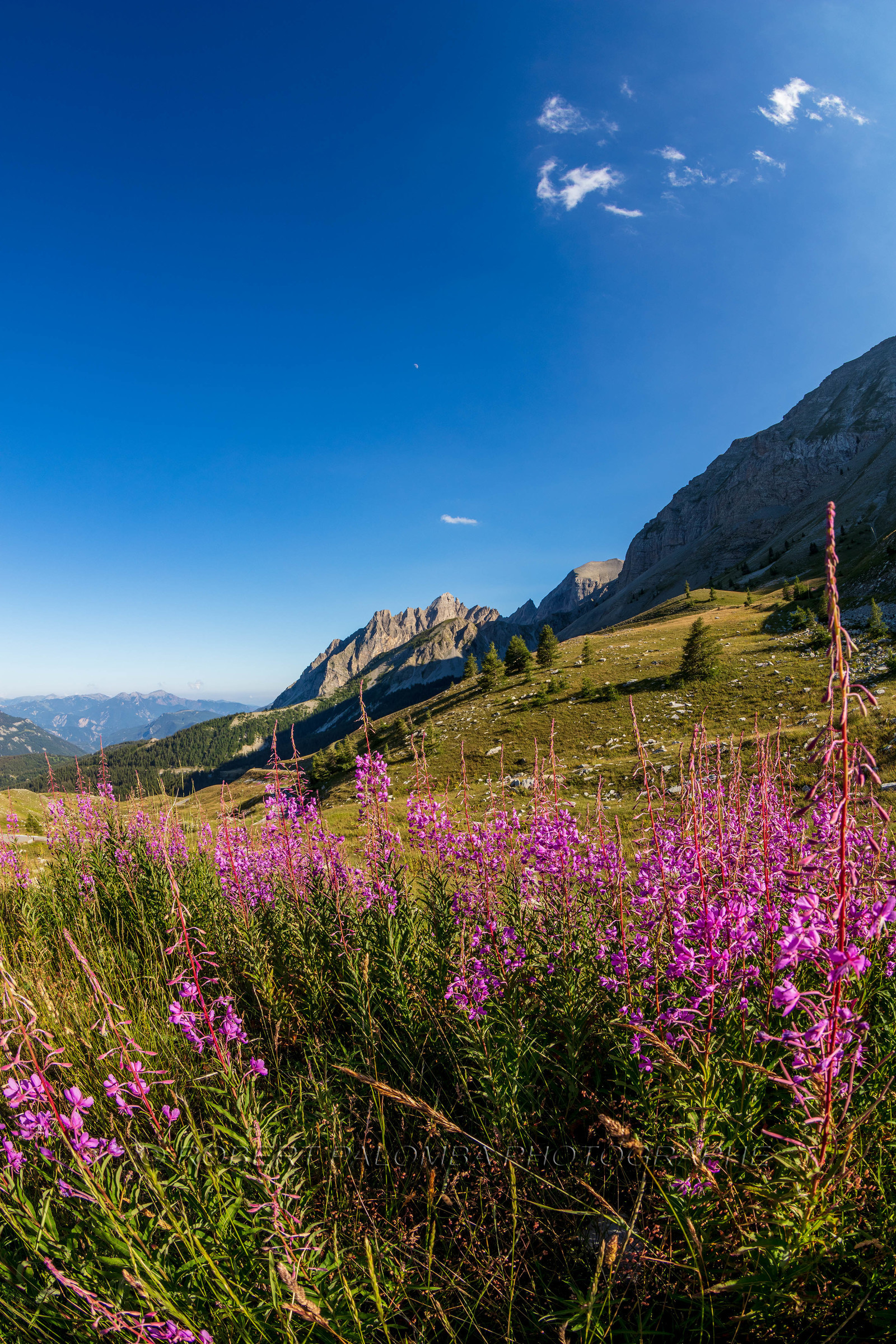Col des Champs