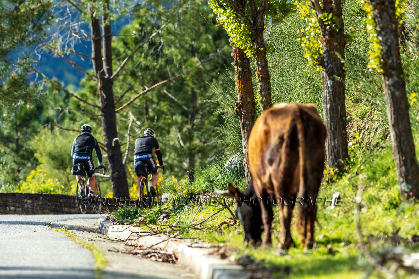 Bikingman Corsica 2019