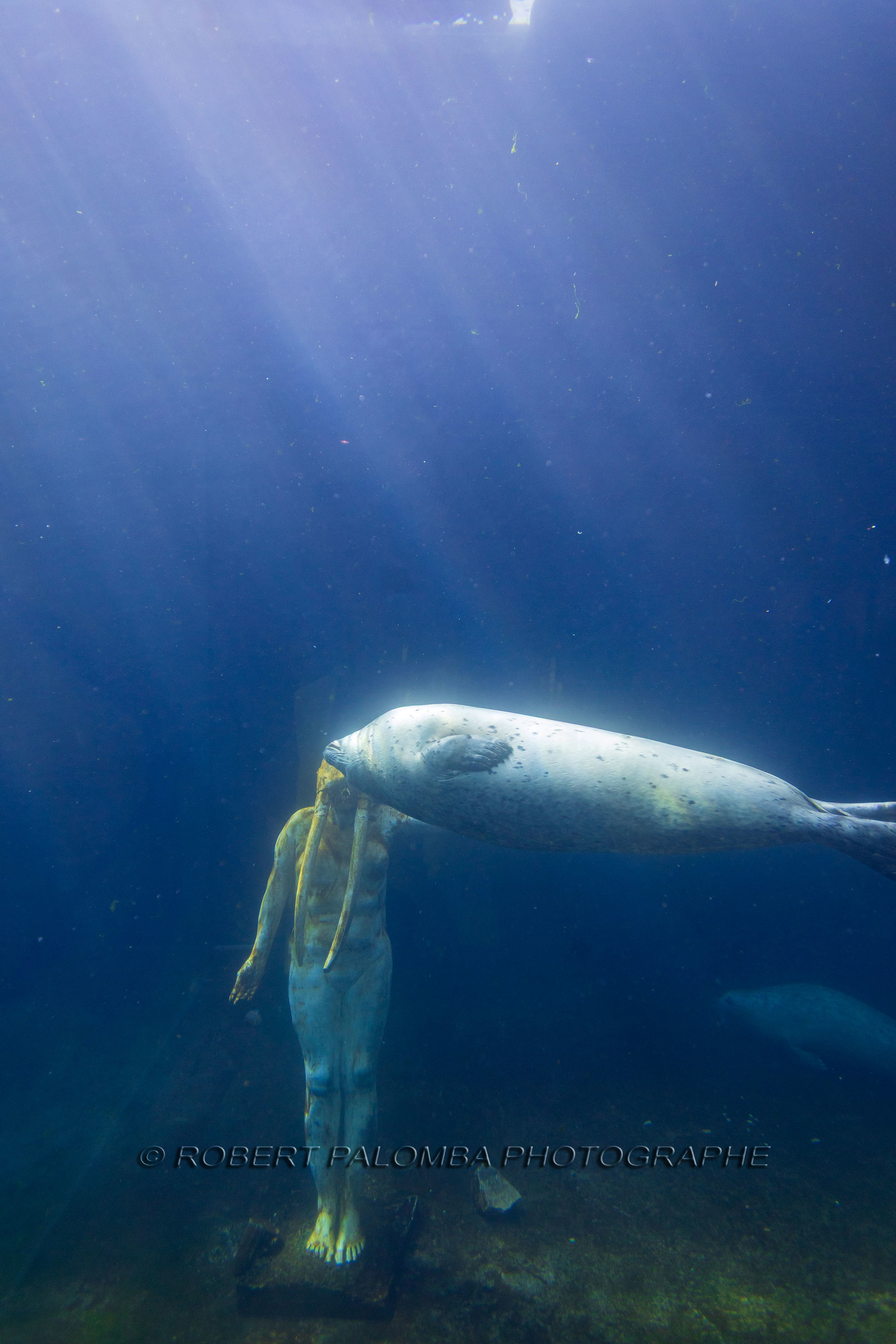 Seaquarium
