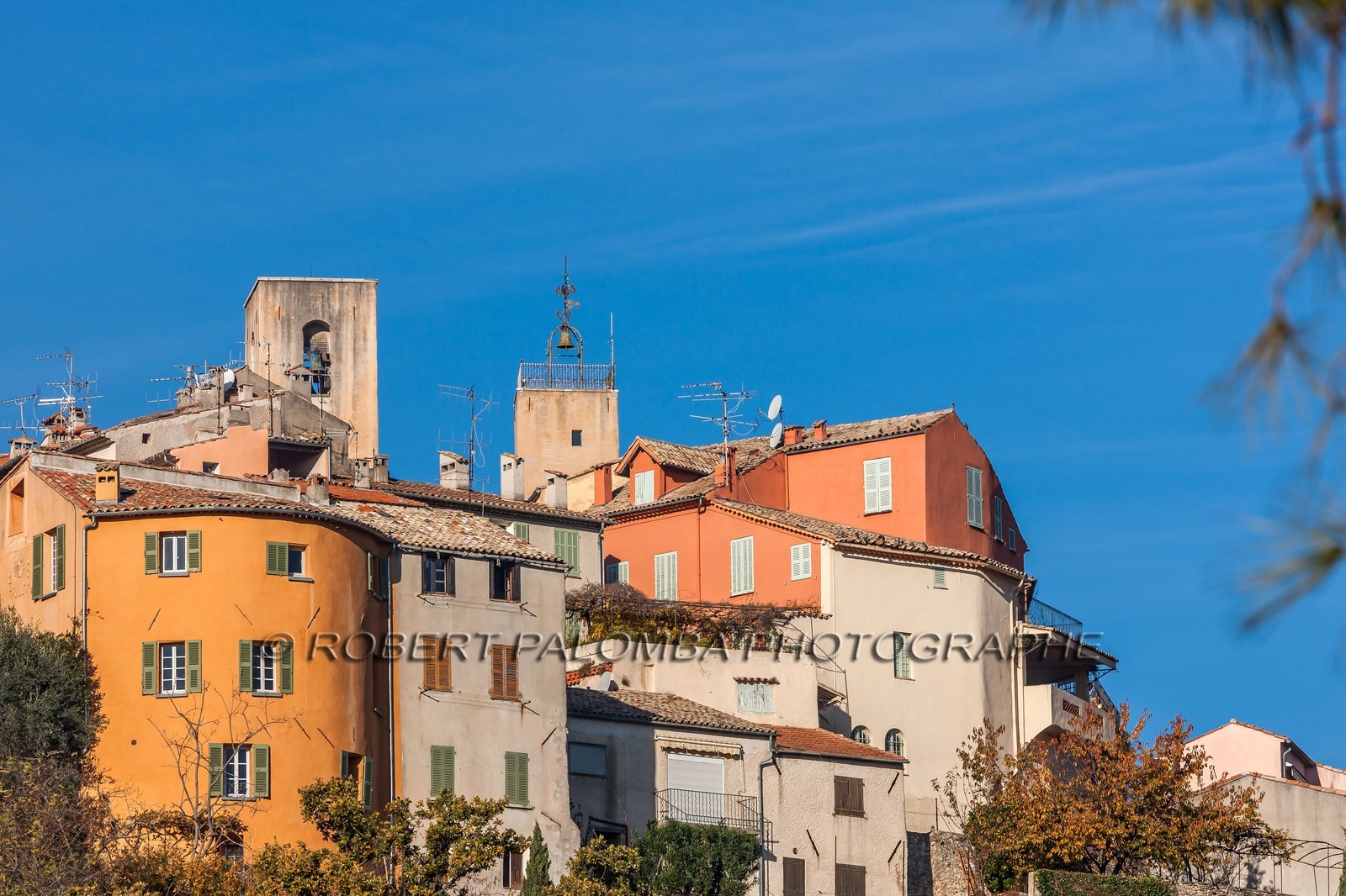 Biot