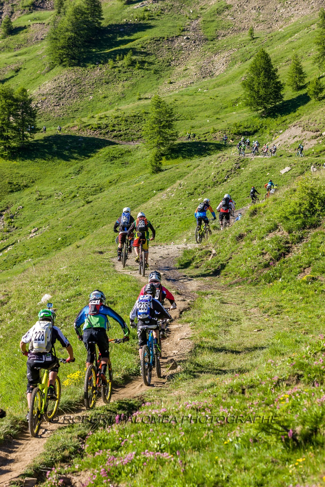 Vtt