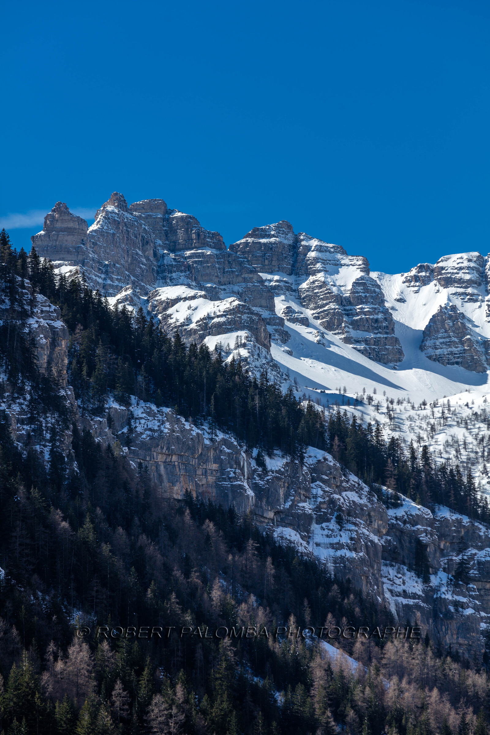 Saint-Dalmas-le-Selvage