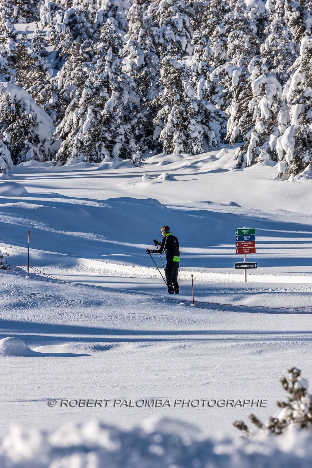 Ski de fond