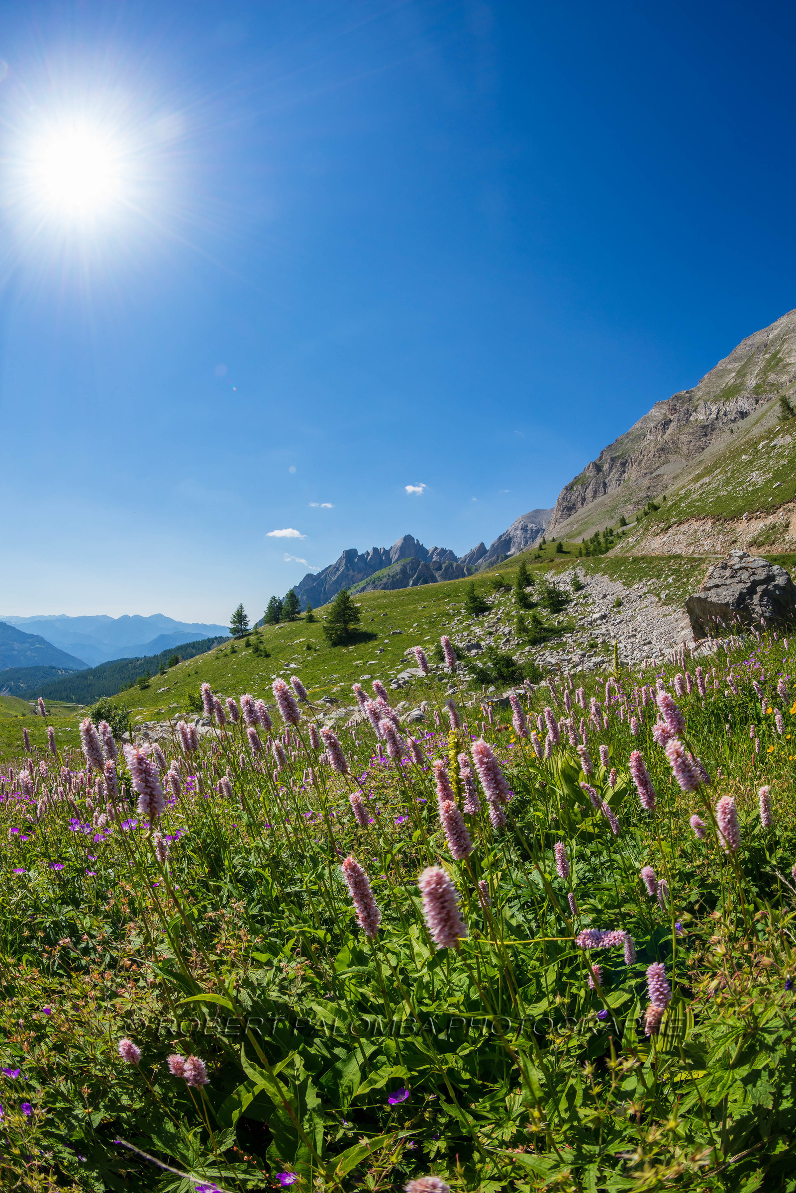 Col des Champs