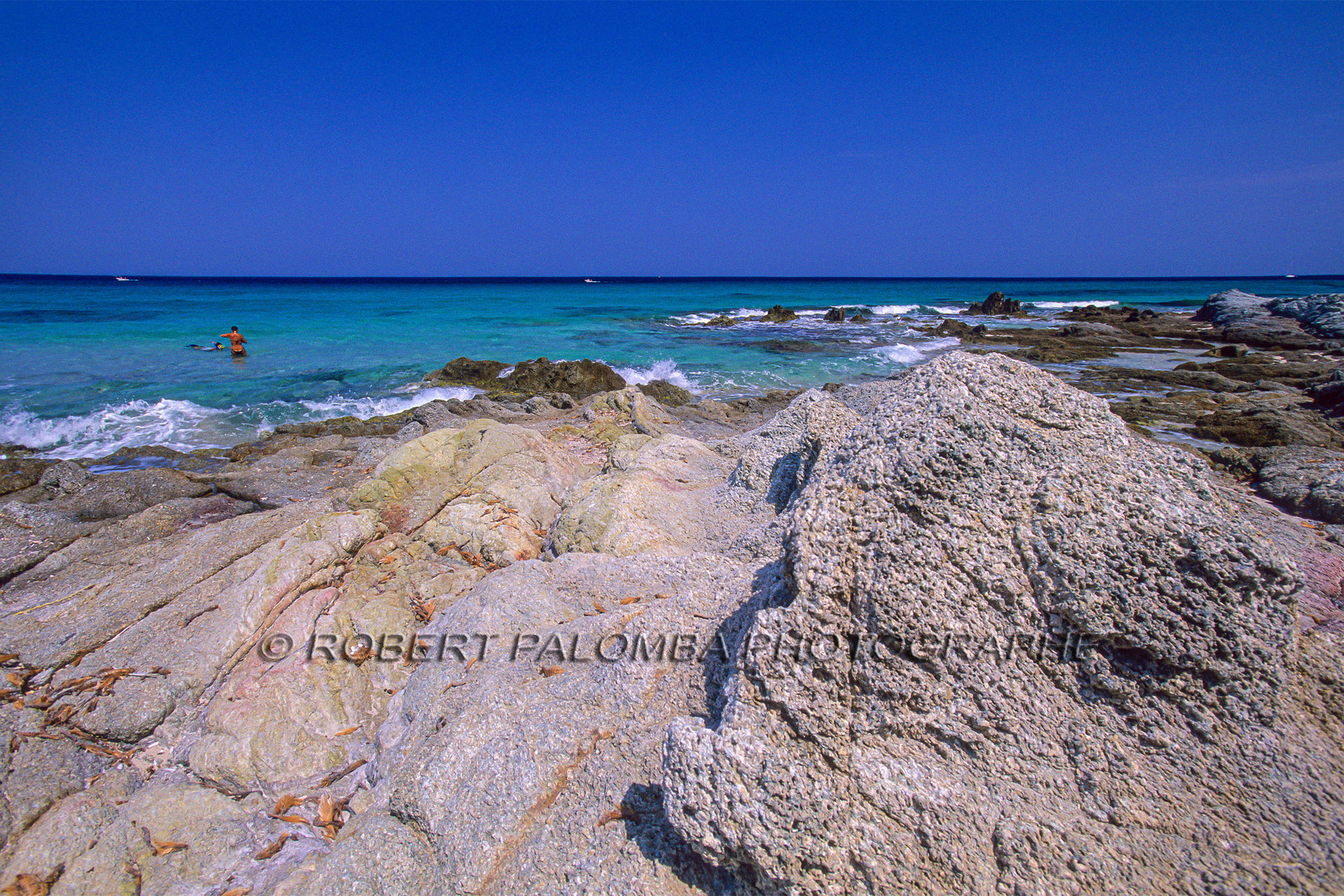 Saleccia