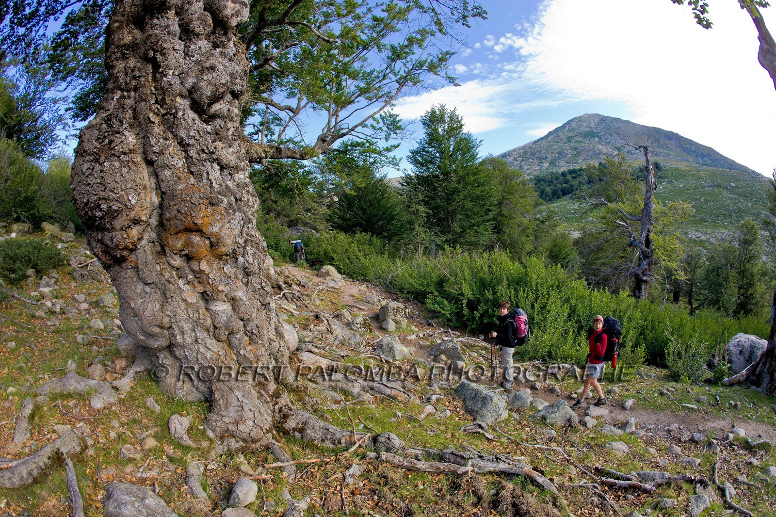 GR 20 Nord