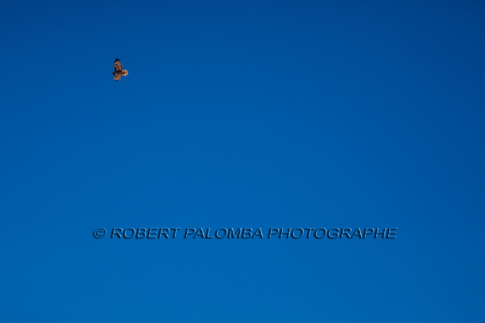 Sur la route pour aller au Grand Canyon