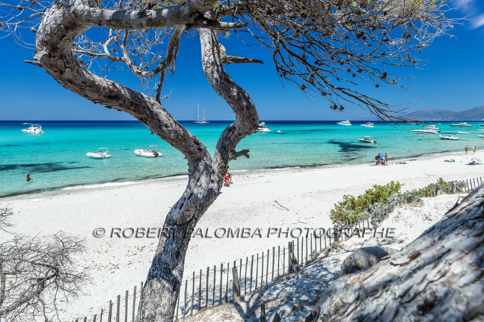 Saleccia