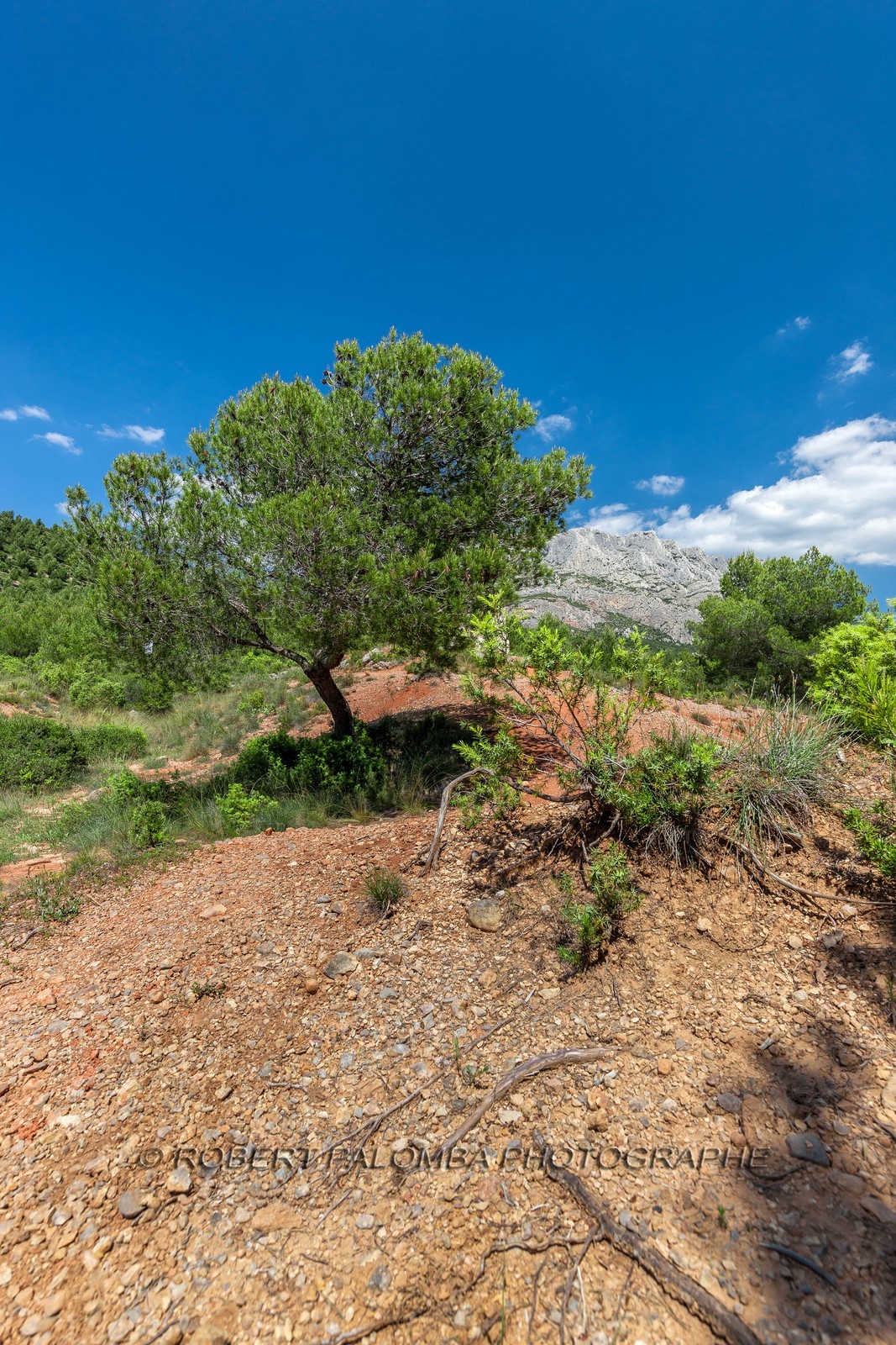 Sainte-Victoire