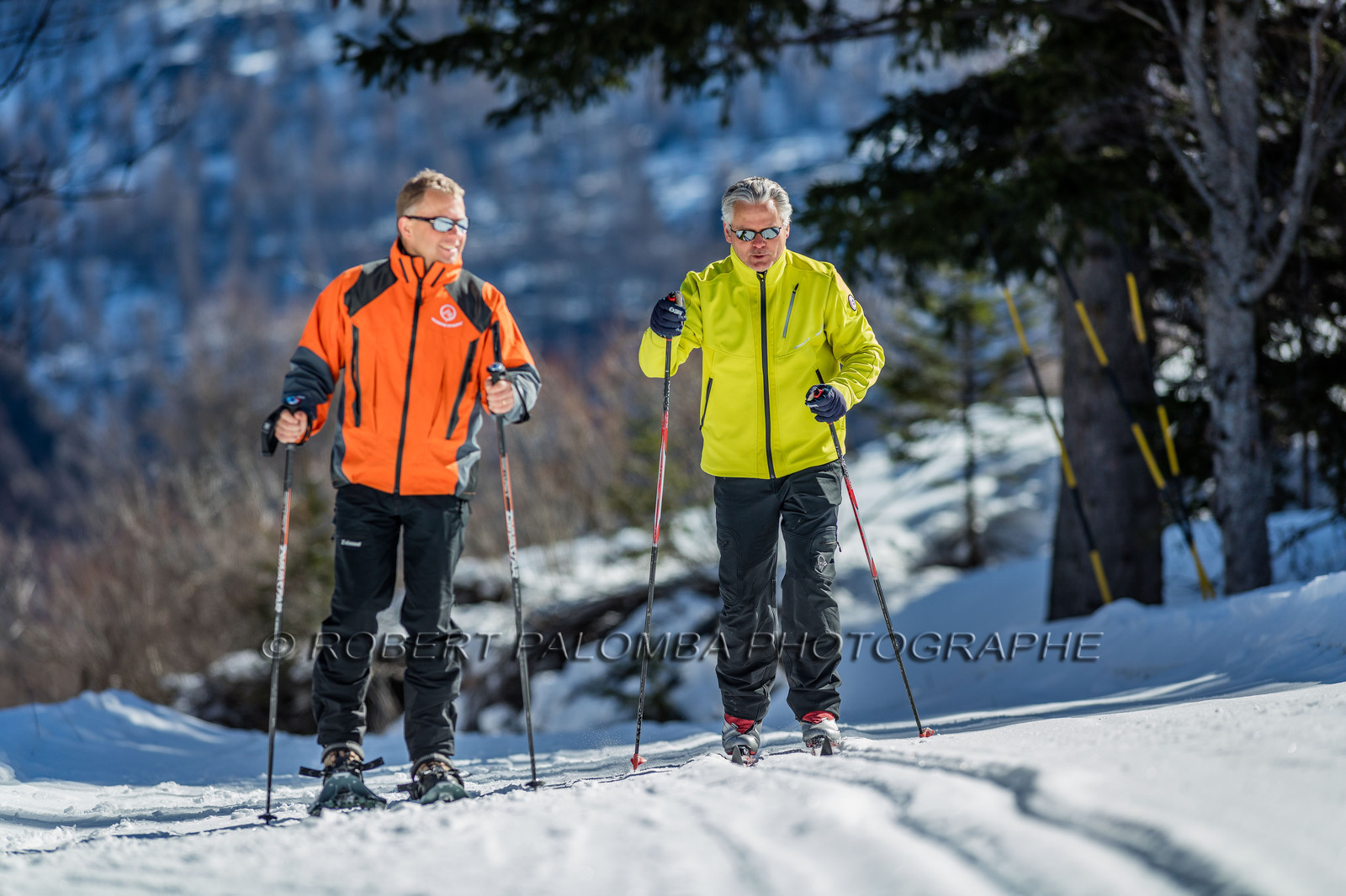 Ski de fond