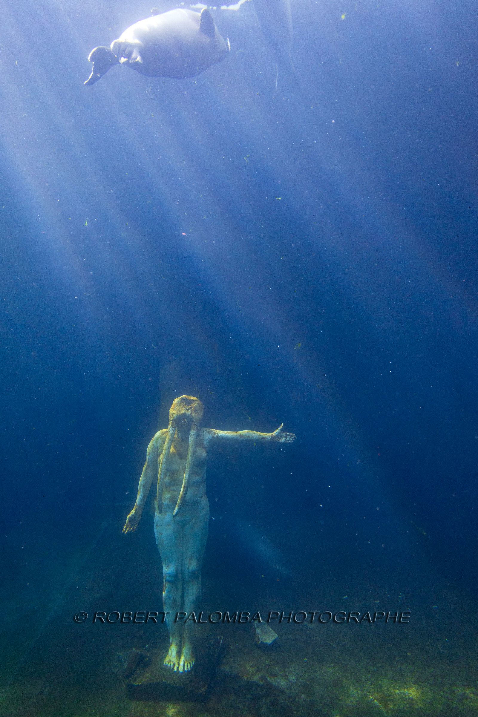 Seaquarium