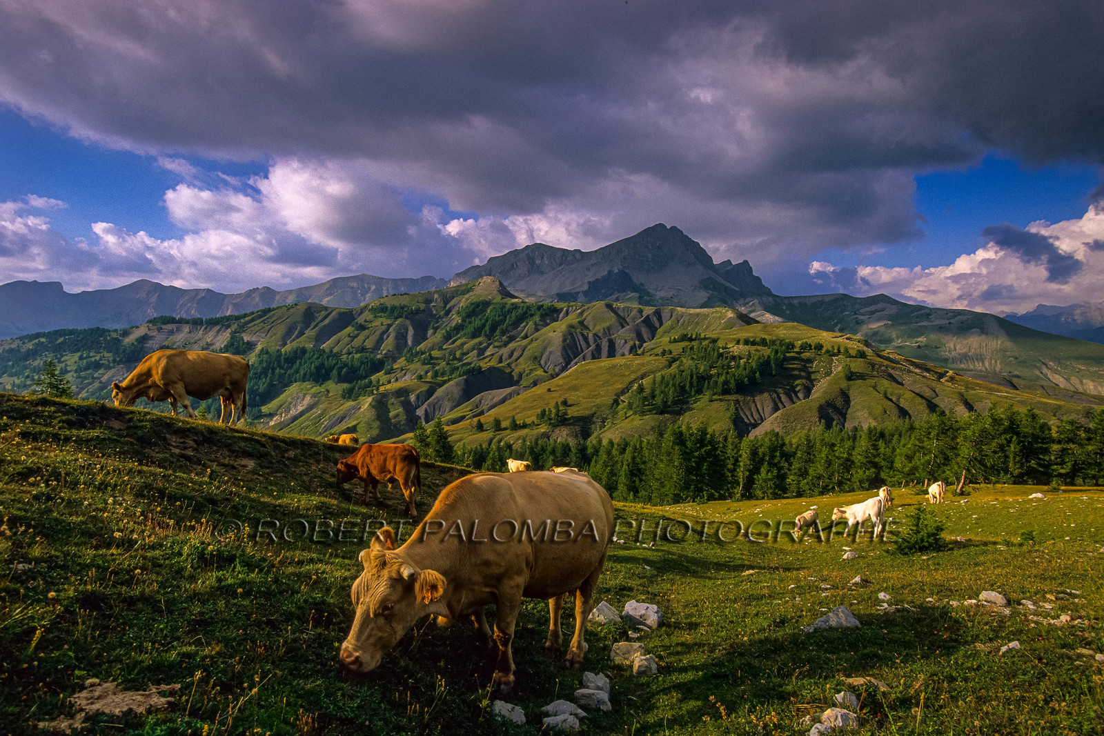 Col des Champs